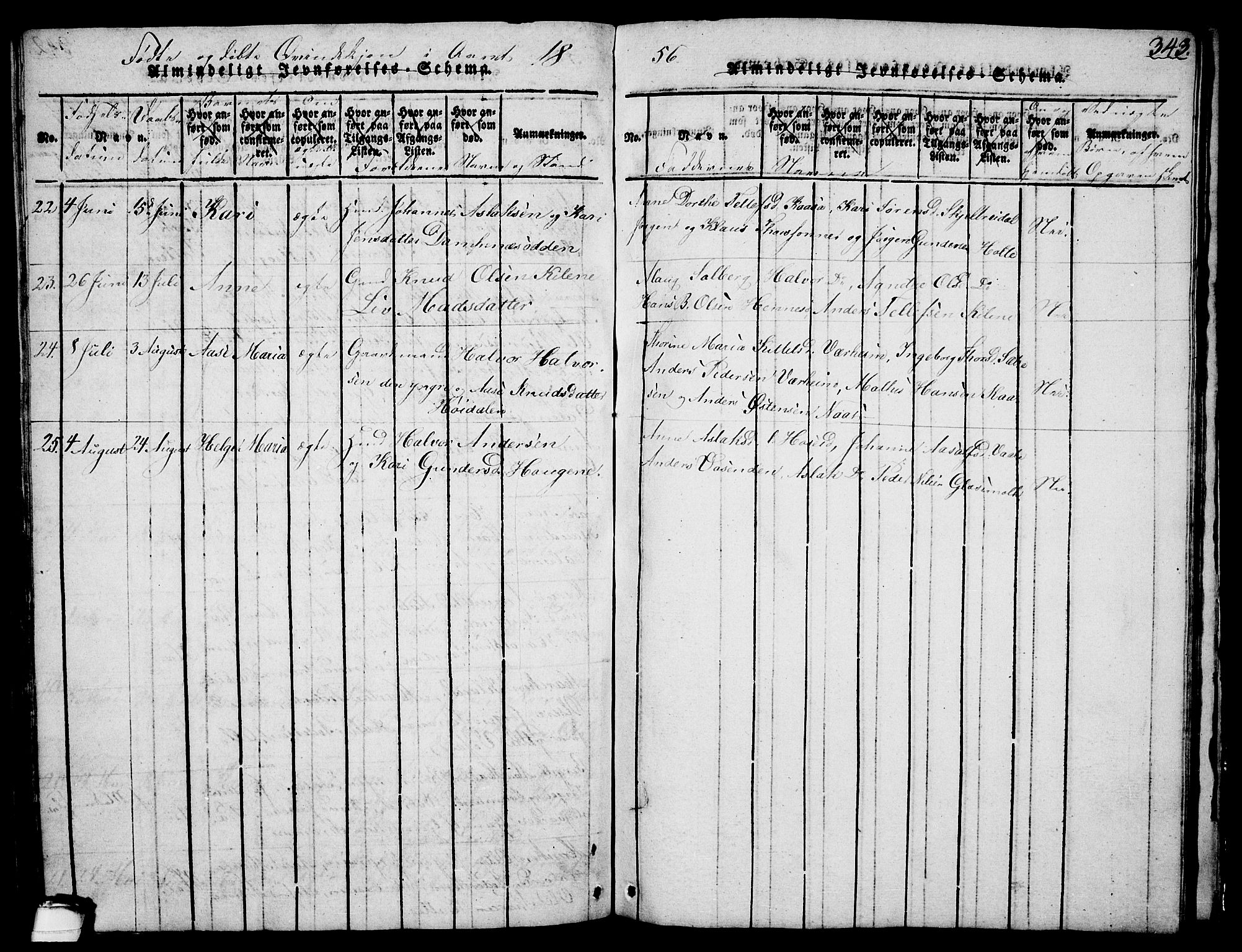 Drangedal kirkebøker, SAKO/A-258/G/Ga/L0001: Parish register (copy) no. I 1 /1, 1814-1856, p. 343