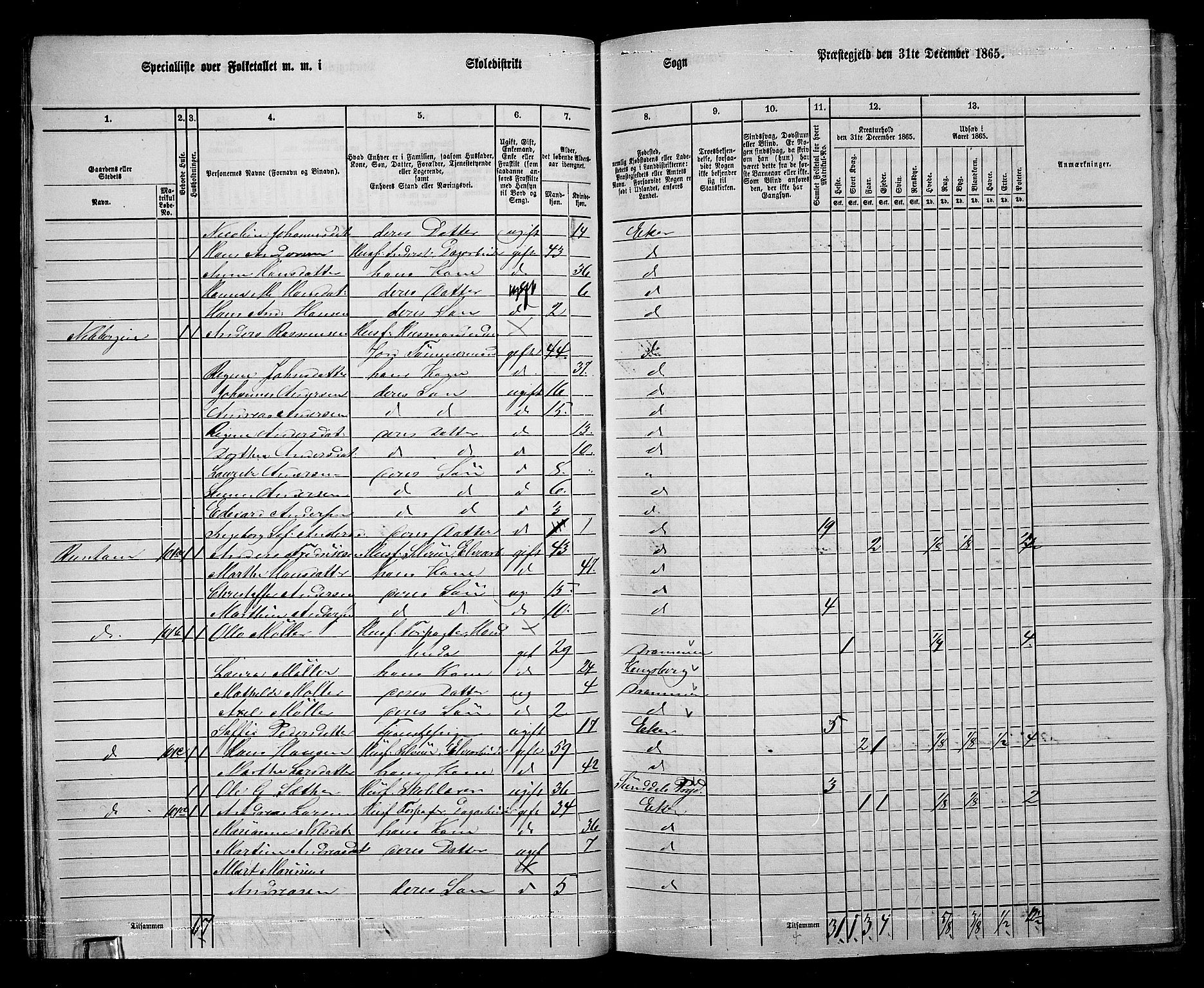 RA, 1865 census for Eiker, 1865, p. 34