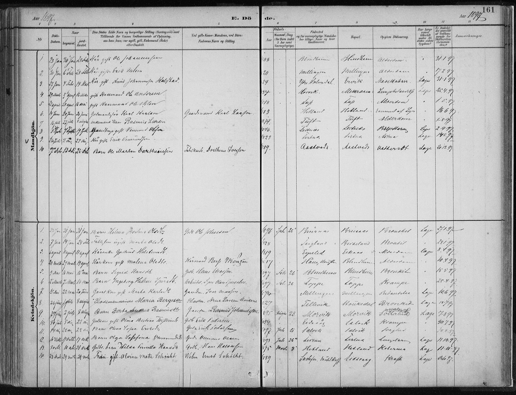 Hamre sokneprestembete, SAB/A-75501/H/Ha/Haa/Haad/L0001: Parish register (official) no. D  1, 1882-1906, p. 161