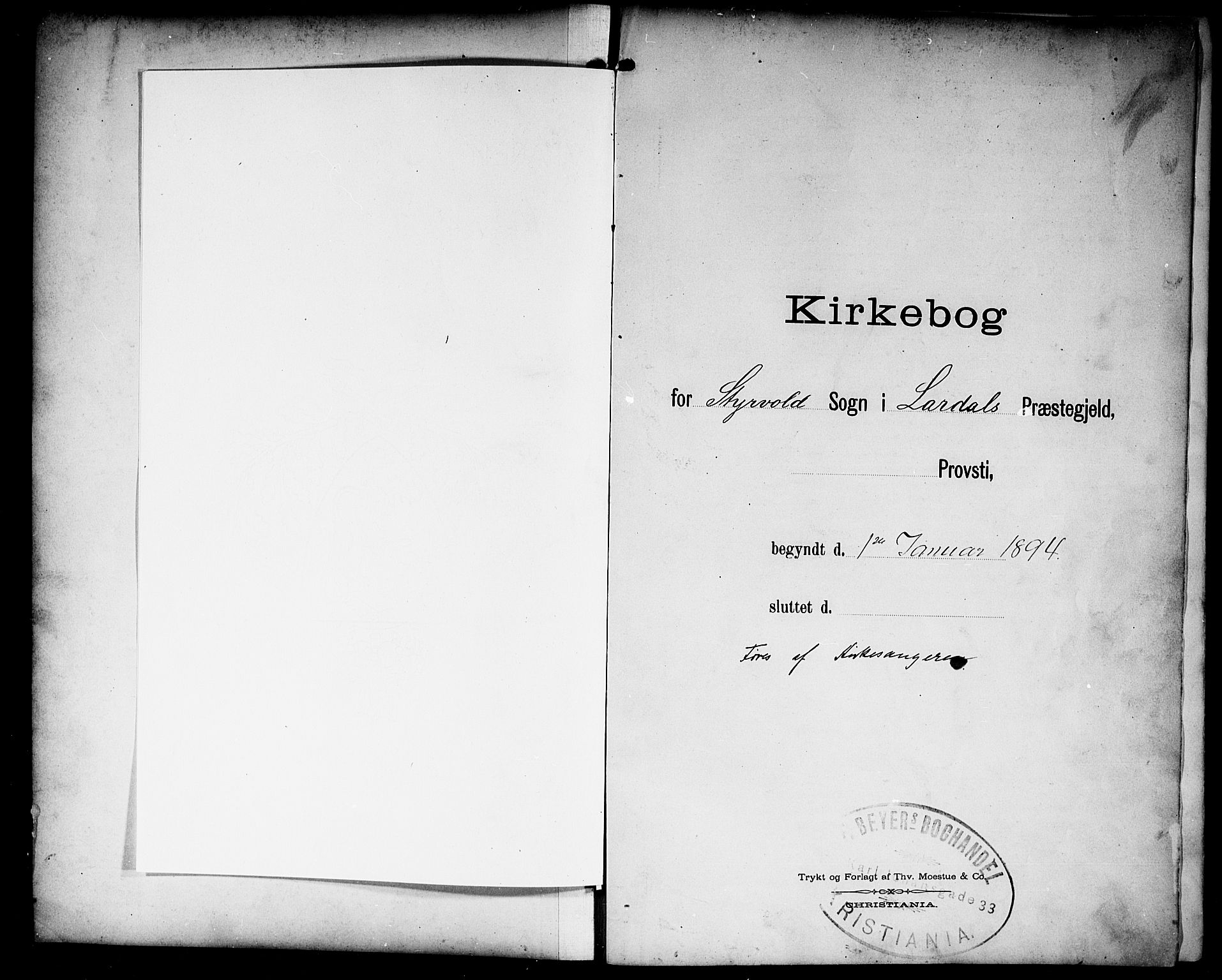 Lardal kirkebøker, AV/SAKO-A-350/G/Gc/L0002: Parish register (copy) no. III 2, 1894-1918