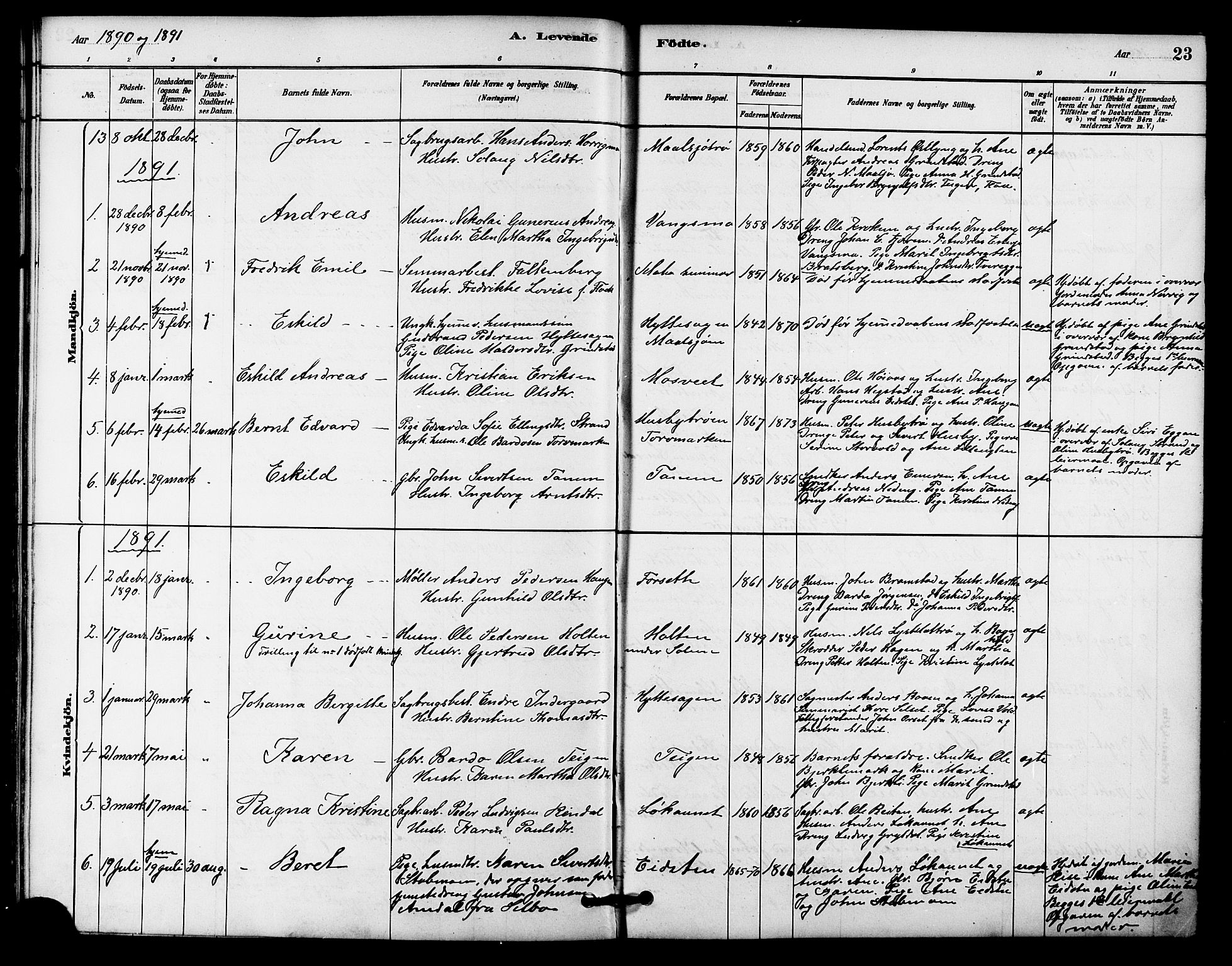 Ministerialprotokoller, klokkerbøker og fødselsregistre - Sør-Trøndelag, SAT/A-1456/618/L0444: Parish register (official) no. 618A07, 1880-1898, p. 23