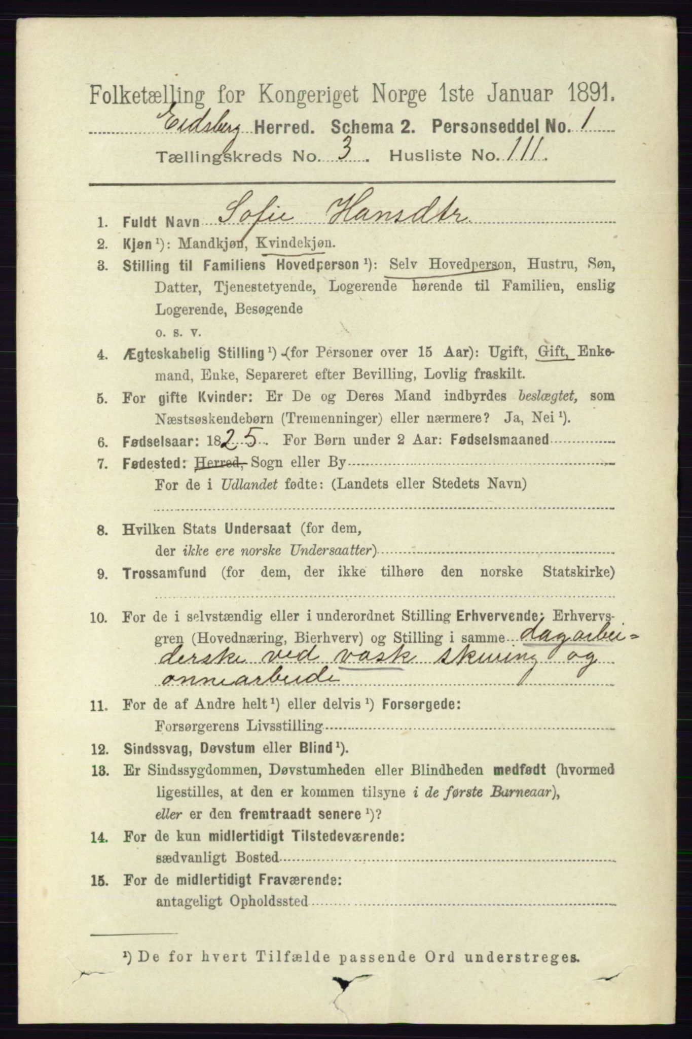 RA, 1891 census for 0125 Eidsberg, 1891, p. 2266