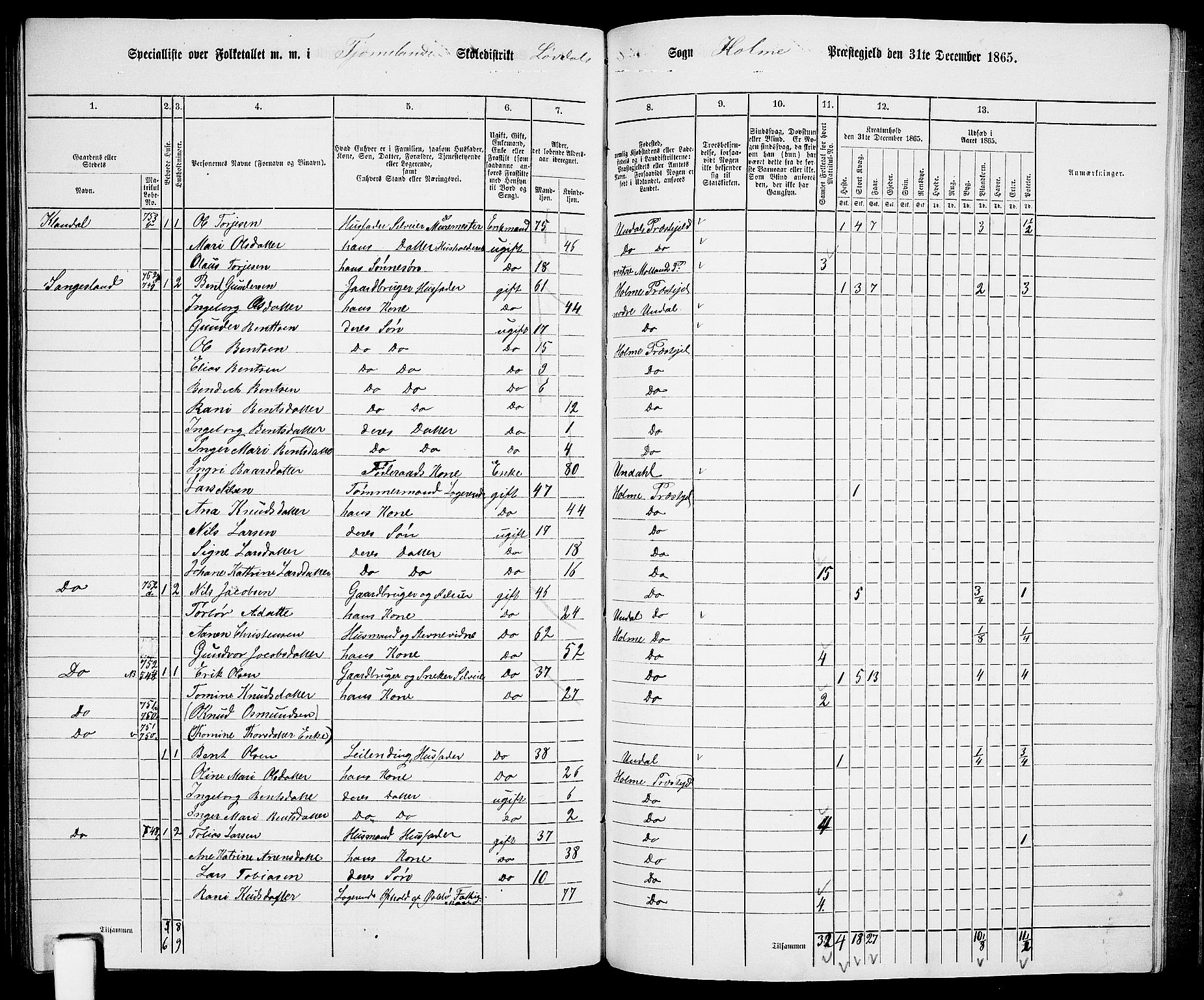 RA, 1865 census for Holum, 1865, p. 155