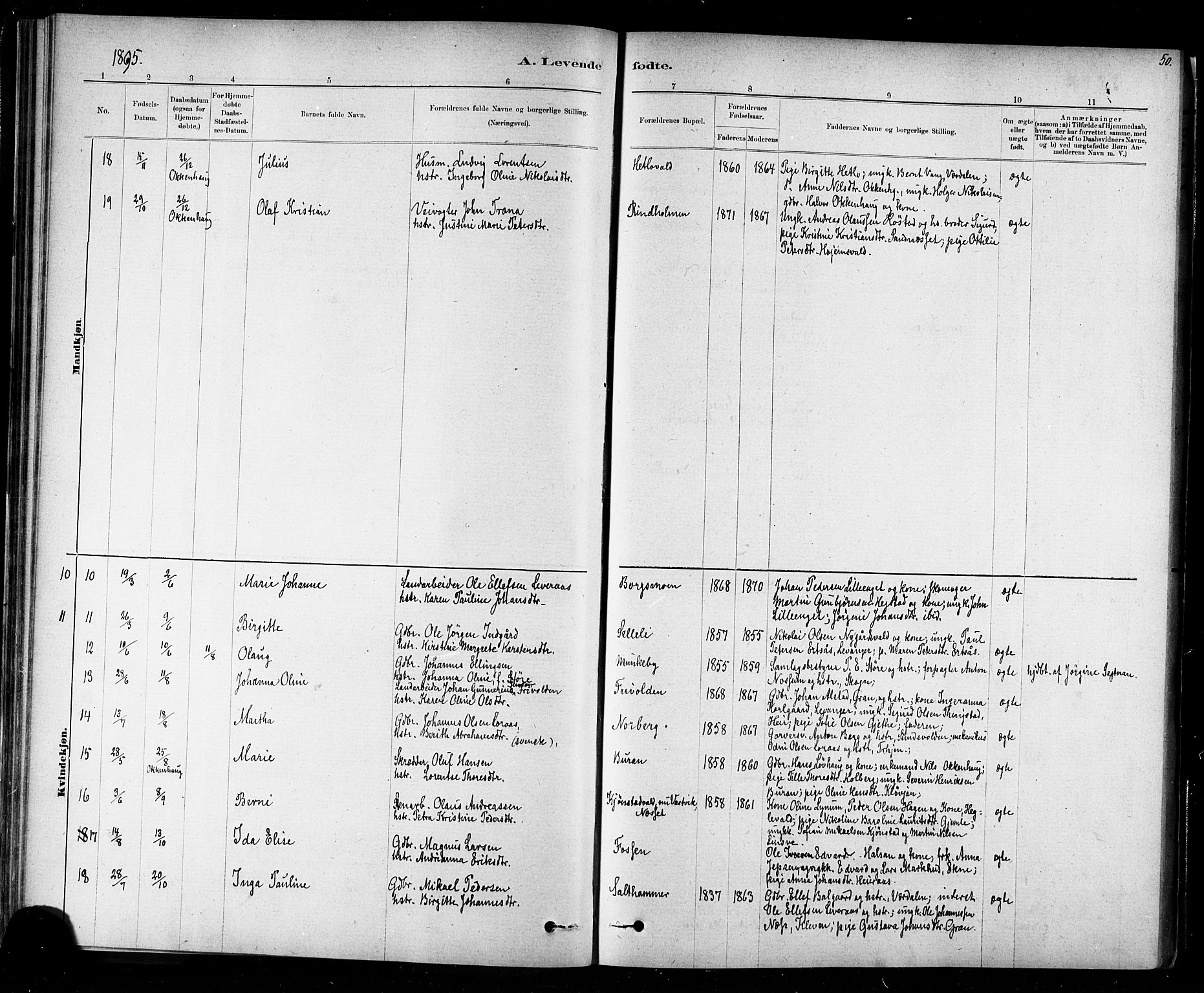 Ministerialprotokoller, klokkerbøker og fødselsregistre - Nord-Trøndelag, SAT/A-1458/721/L0208: Parish register (copy) no. 721C01, 1880-1917, p. 50