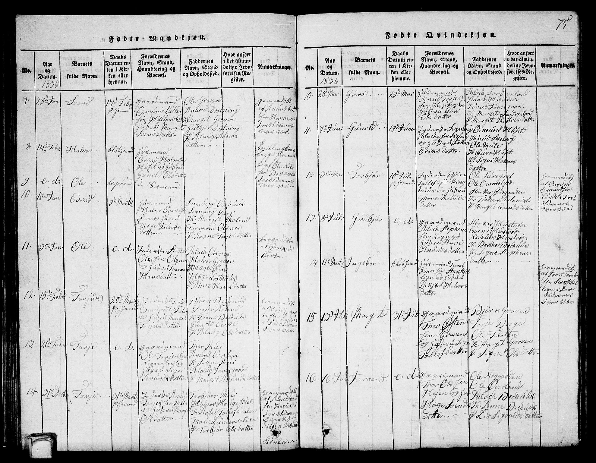 Vinje kirkebøker, SAKO/A-312/G/Ga/L0001: Parish register (copy) no. I 1, 1814-1843, p. 75