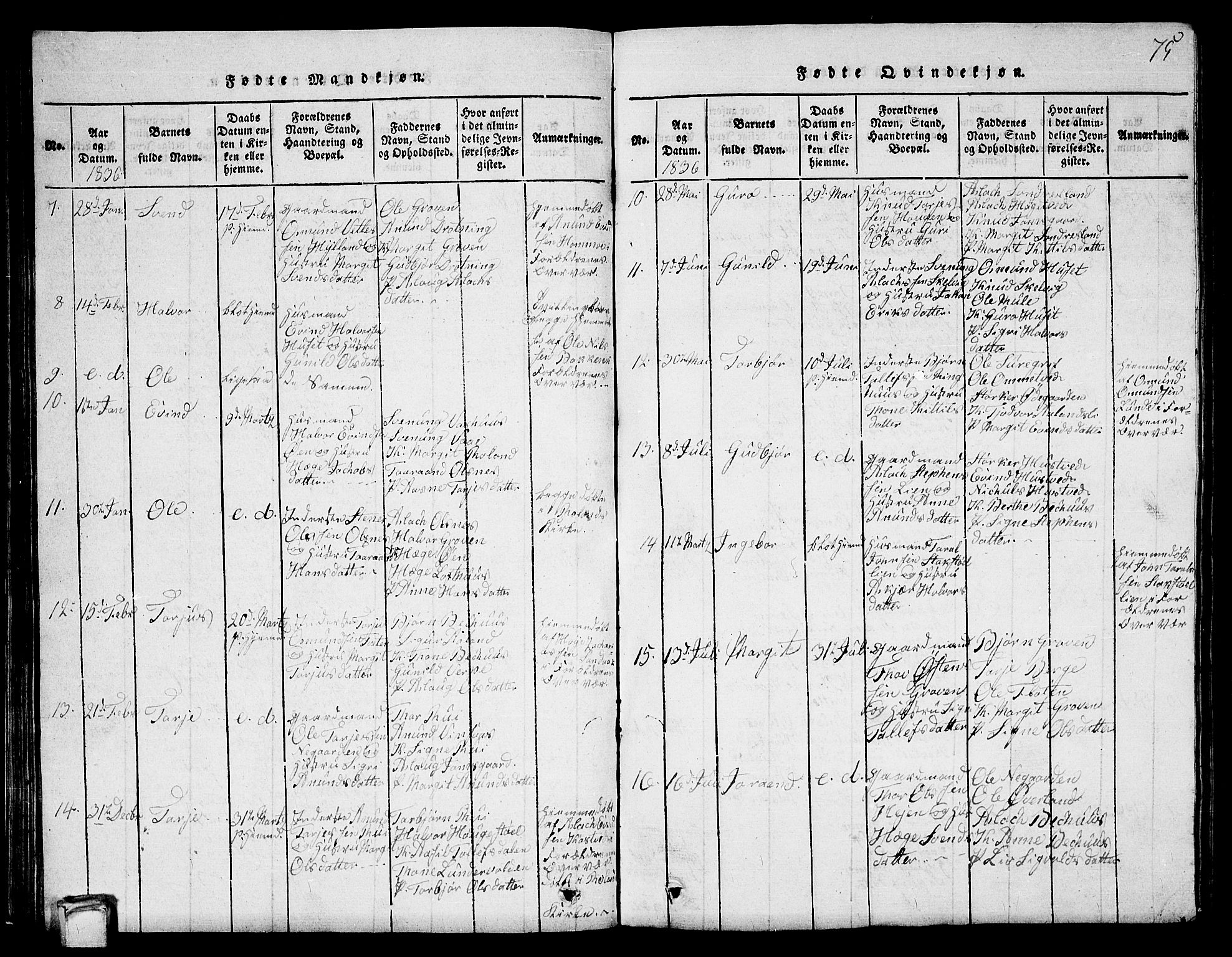 Vinje kirkebøker, AV/SAKO-A-312/G/Ga/L0001: Parish register (copy) no. I 1, 1814-1843, p. 75