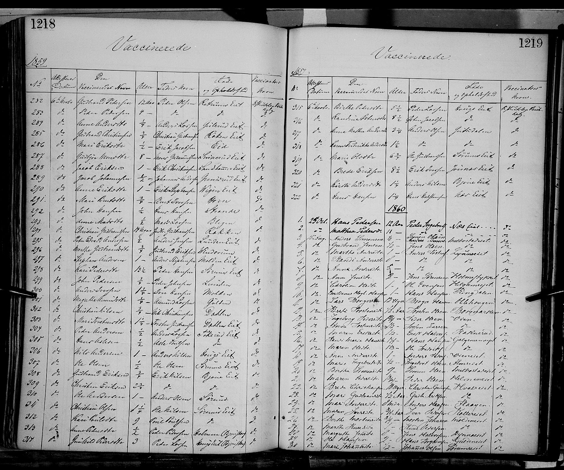 Gran prestekontor, SAH/PREST-112/H/Ha/Haa/L0012: Parish register (official) no. 12, 1856-1874, p. 1218-1219