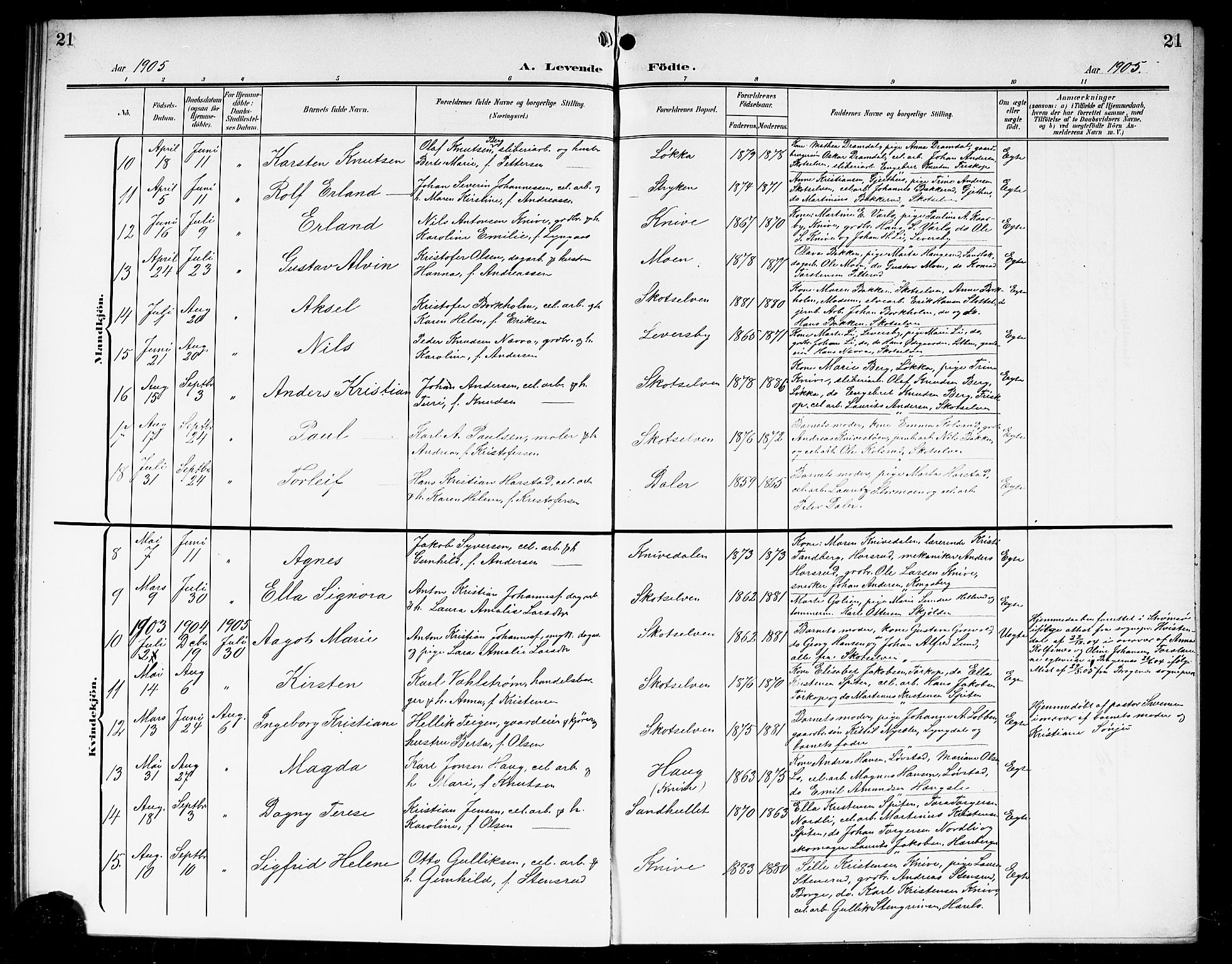 Eiker kirkebøker, AV/SAKO-A-4/G/Gb/L0005: Parish register (copy) no. II 5, 1901-1923, p. 21