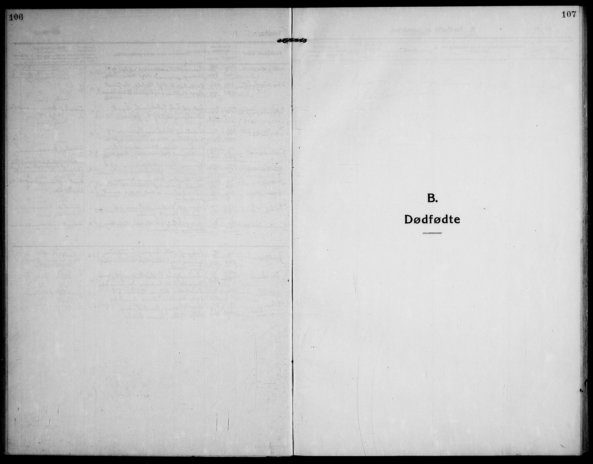 Skoger kirkebøker, SAKO/A-59/F/Fb/L0002: Parish register (official) no. II 2, 1914-1941, p. 106-107