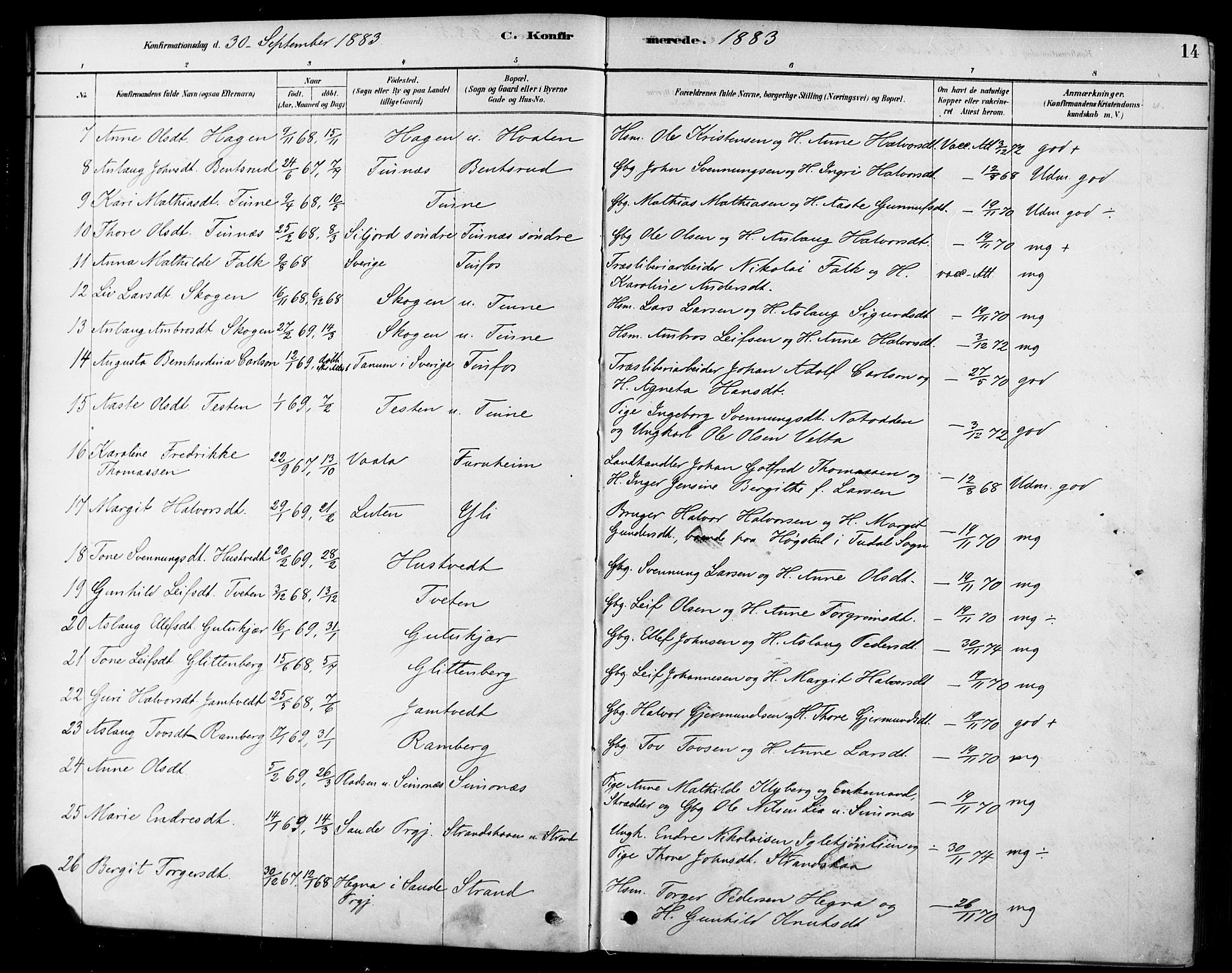 Heddal kirkebøker, AV/SAKO-A-268/F/Fa/L0009: Parish register (official) no. I 9, 1878-1903, p. 14