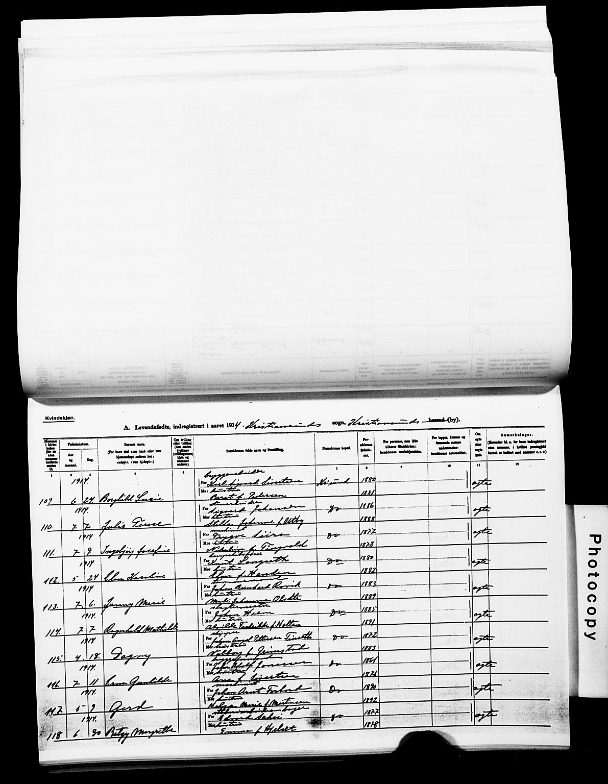 Ministerialprotokoller, klokkerbøker og fødselsregistre - Møre og Romsdal, AV/SAT-A-1454/572/L0861: Parish register (official) no. 572D05, 1913-1920