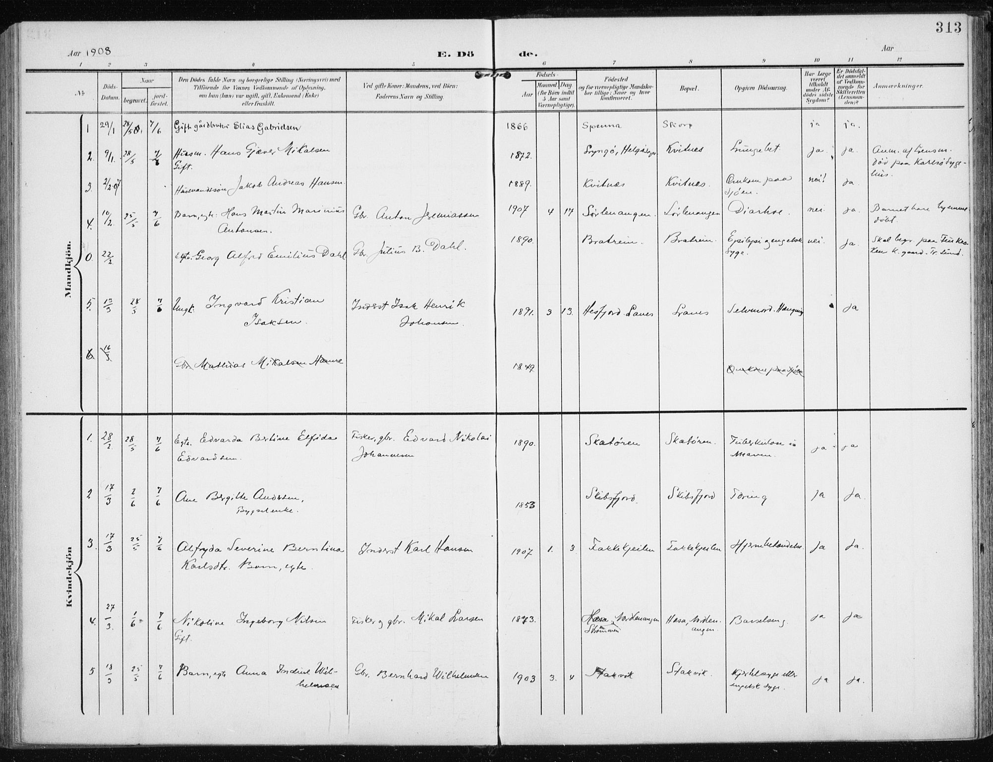 Karlsøy sokneprestembete, SATØ/S-1299/H/Ha/Haa/L0014kirke: Parish register (official) no. 14, 1903-1917, p. 313