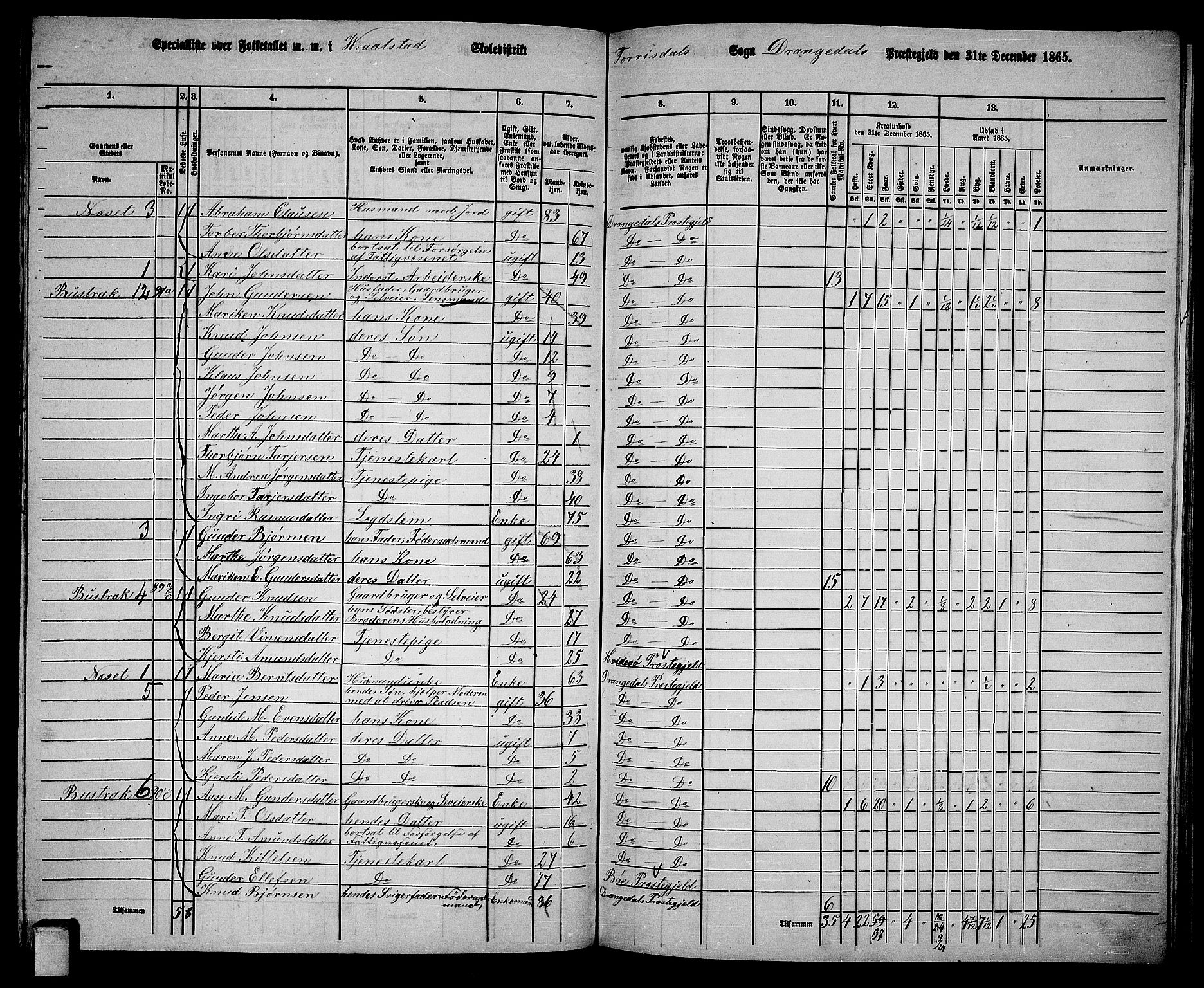 RA, 1865 census for Drangedal, 1865, p. 102