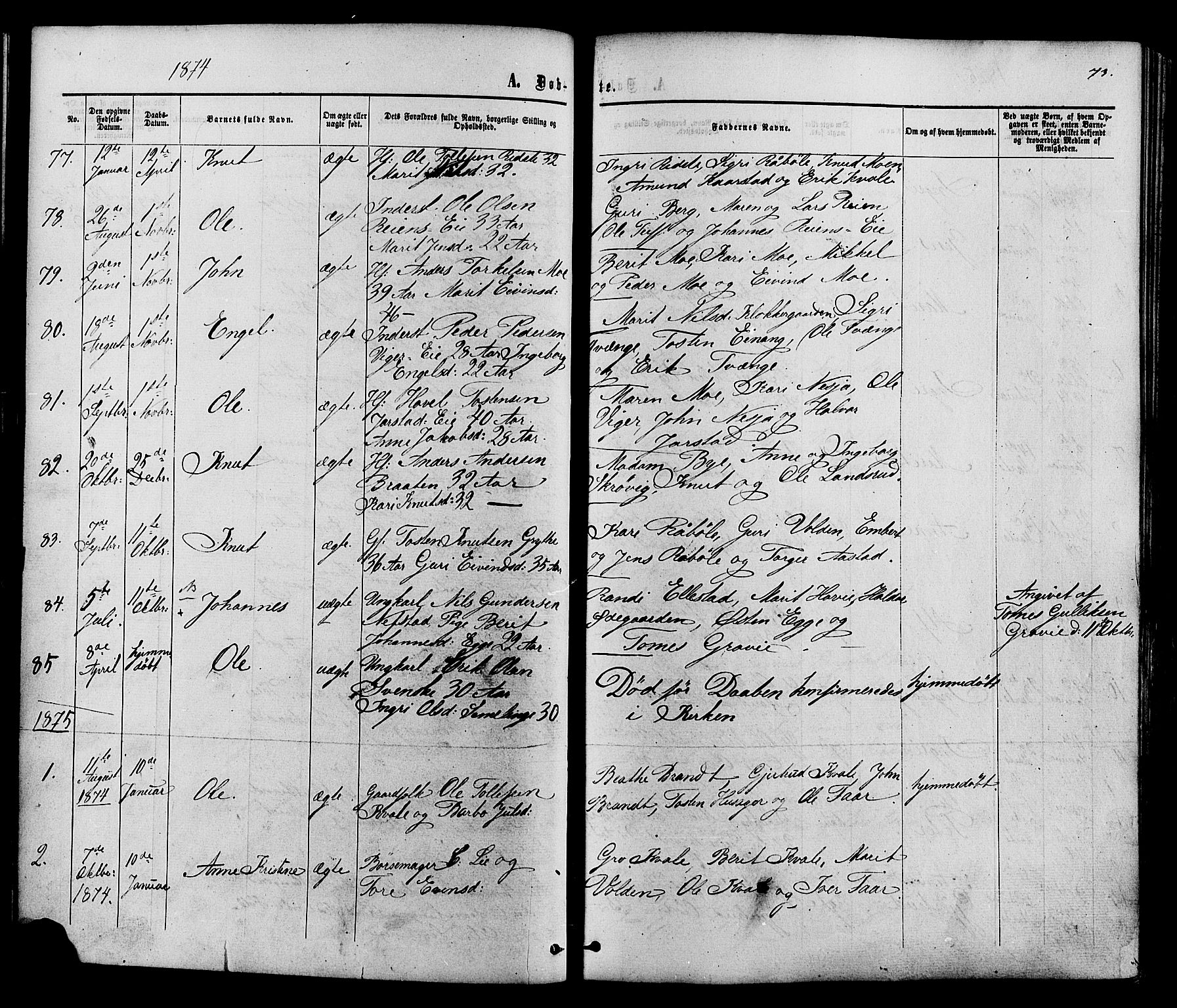 Vestre Slidre prestekontor, SAH/PREST-136/H/Ha/Haa/L0003: Parish register (official) no. 3, 1865-1880, p. 73