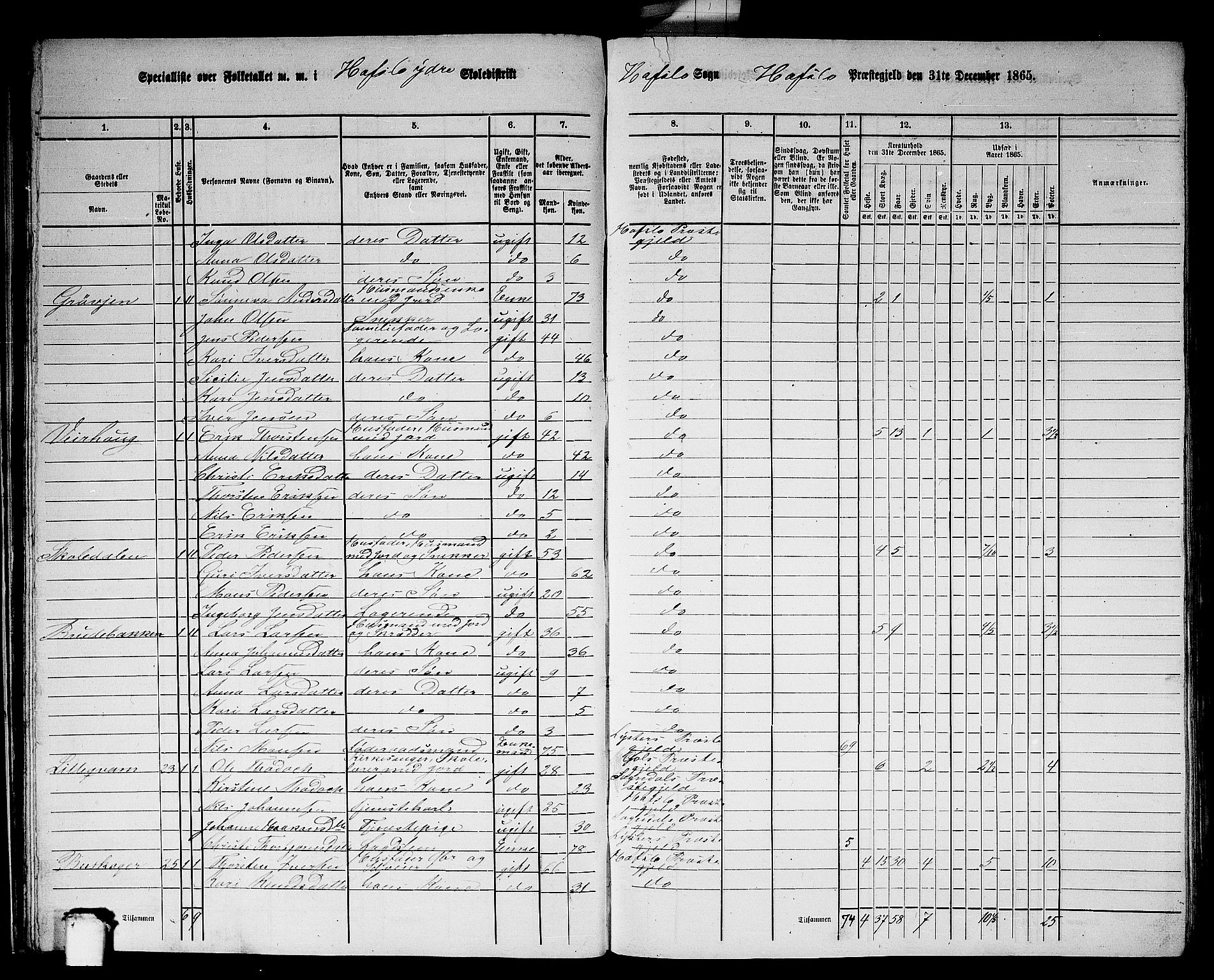 RA, 1865 census for Hafslo, 1865, p. 28