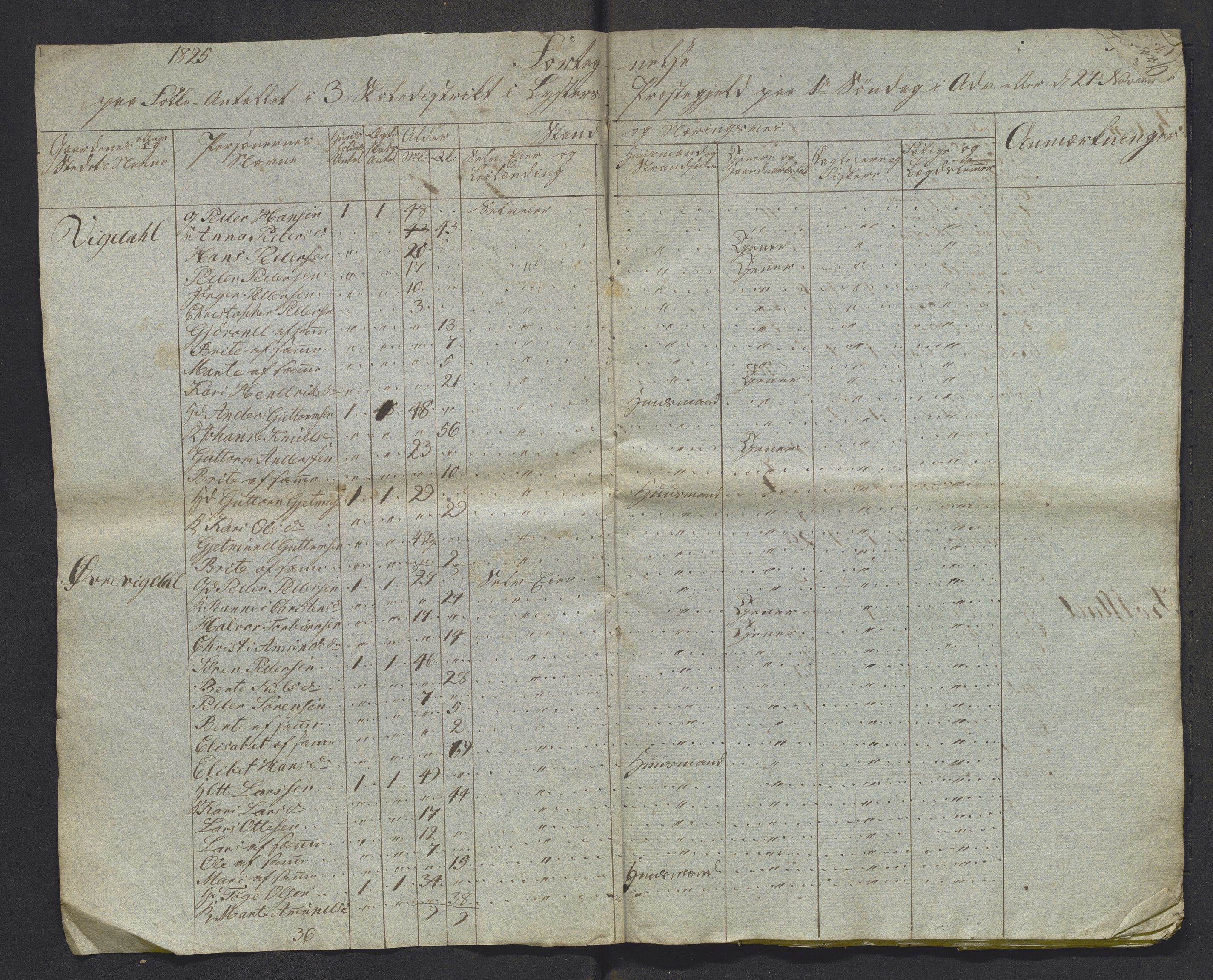 , 1825 Census for Luster parish, 1825, p. 31