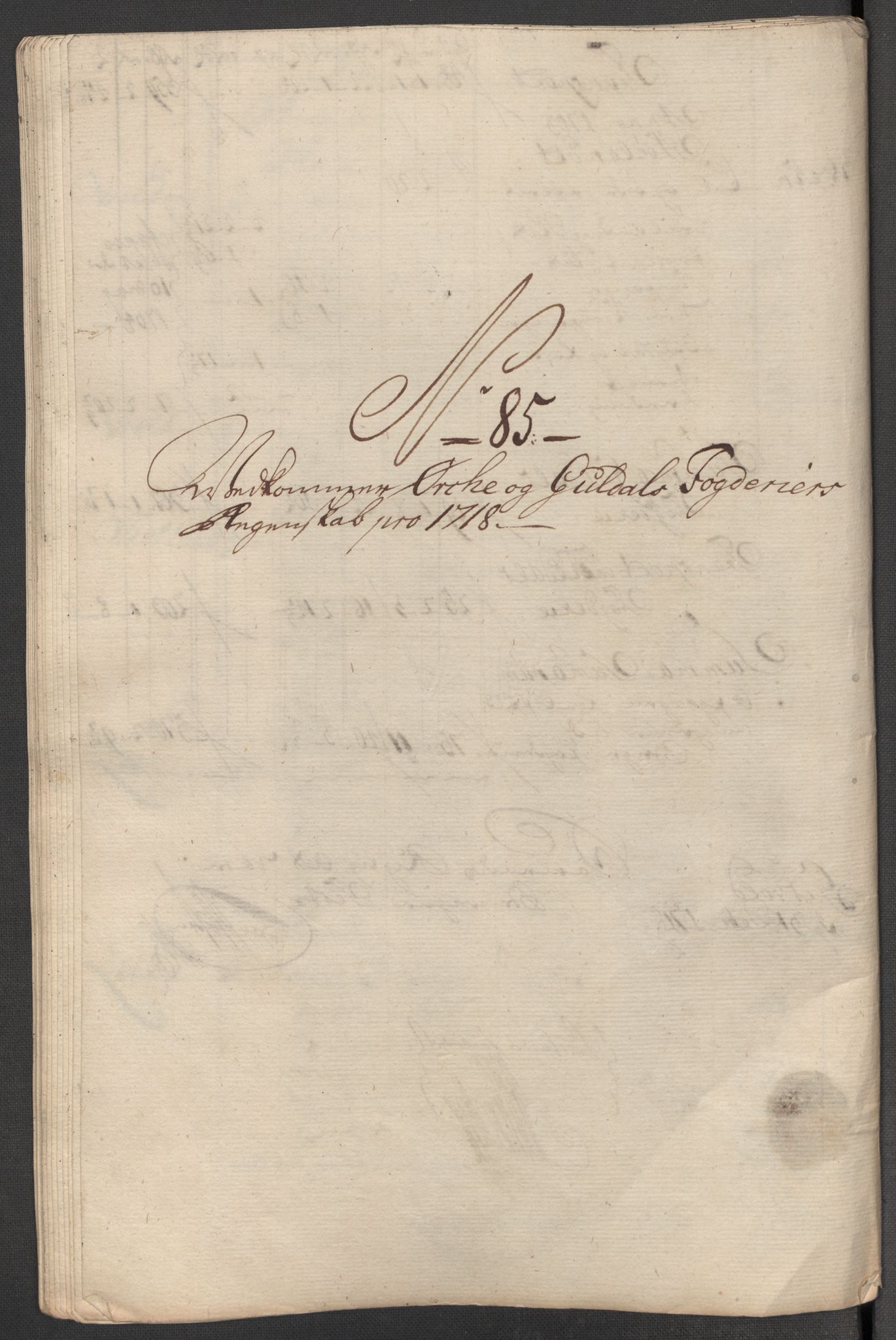 Rentekammeret inntil 1814, Reviderte regnskaper, Fogderegnskap, RA/EA-4092/R60/L3972: Fogderegnskap Orkdal og Gauldal, 1718, p. 216