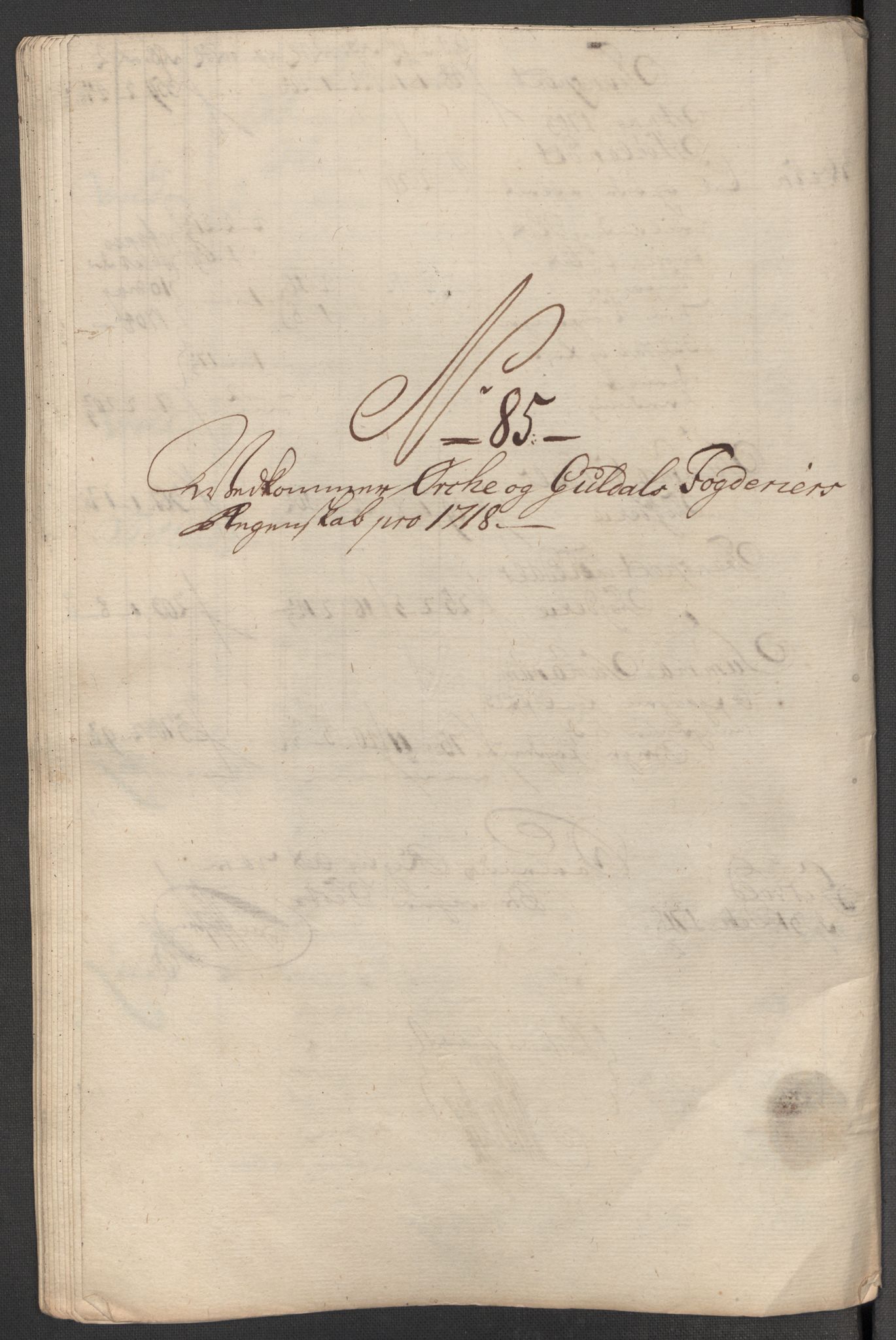 Rentekammeret inntil 1814, Reviderte regnskaper, Fogderegnskap, AV/RA-EA-4092/R60/L3972: Fogderegnskap Orkdal og Gauldal, 1718, p. 216