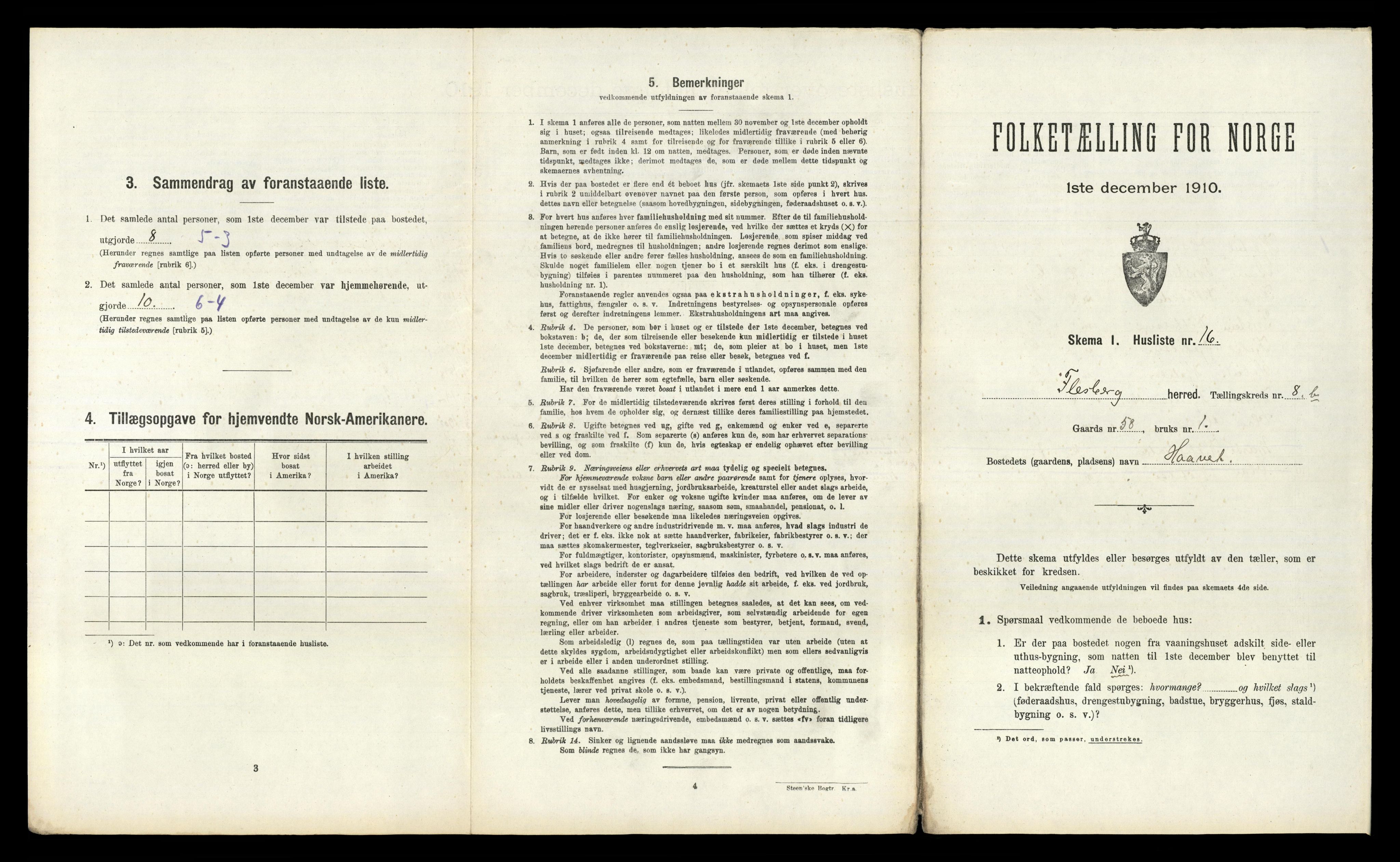 RA, 1910 census for Flesberg, 1910, p. 589