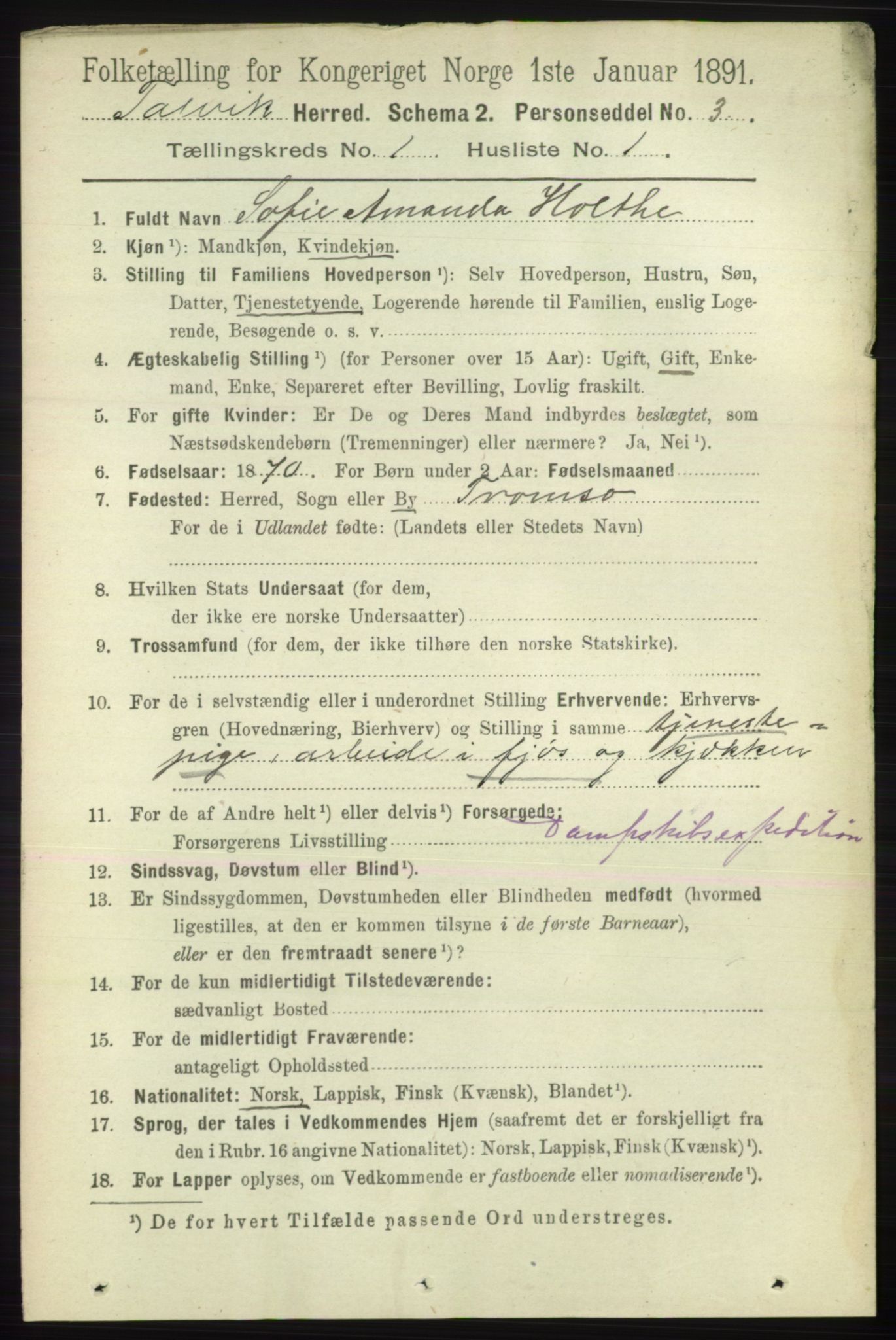 RA, 1891 census for 2013 Talvik, 1891, p. 101