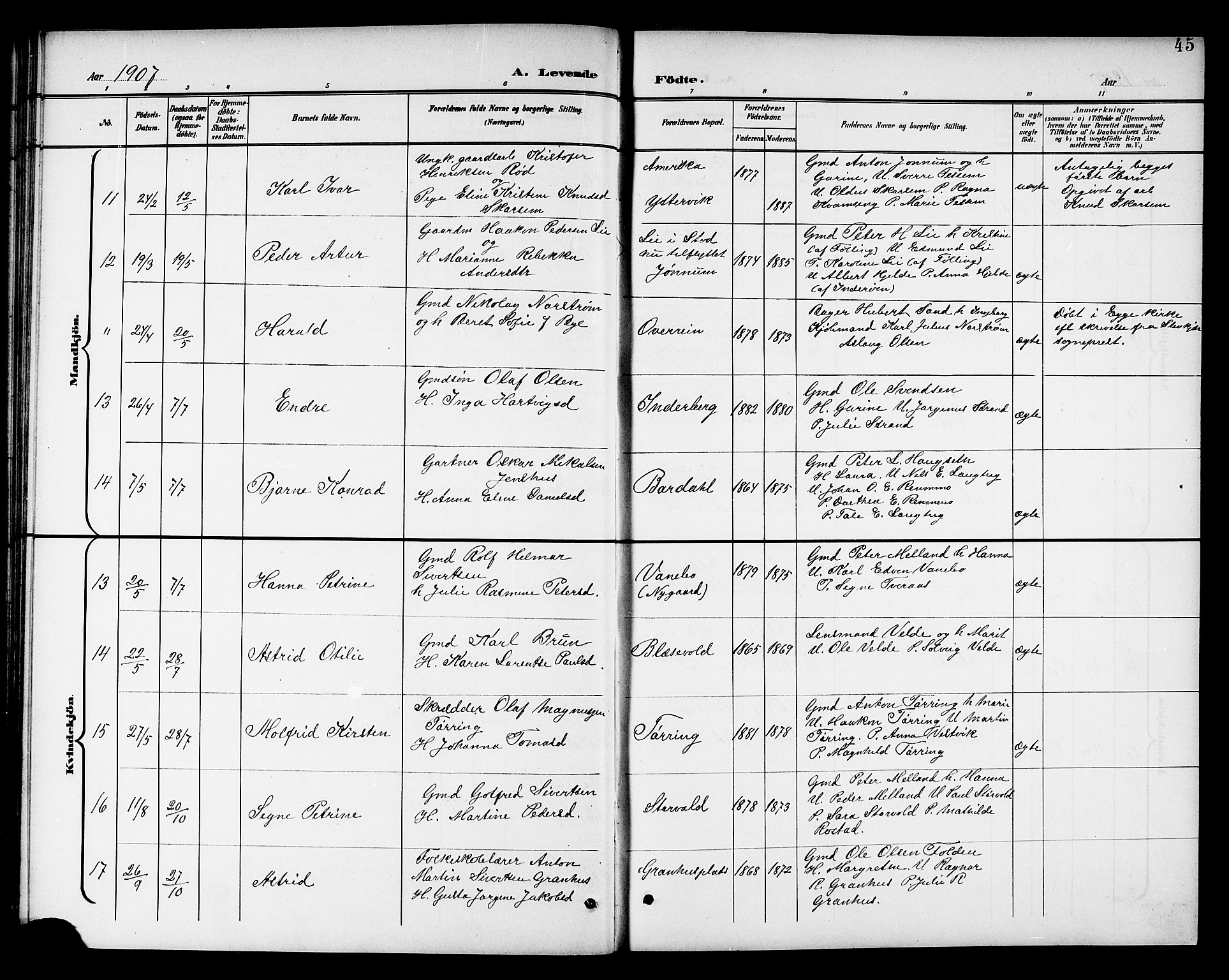 Ministerialprotokoller, klokkerbøker og fødselsregistre - Nord-Trøndelag, AV/SAT-A-1458/741/L0401: Parish register (copy) no. 741C02, 1899-1911, p. 45