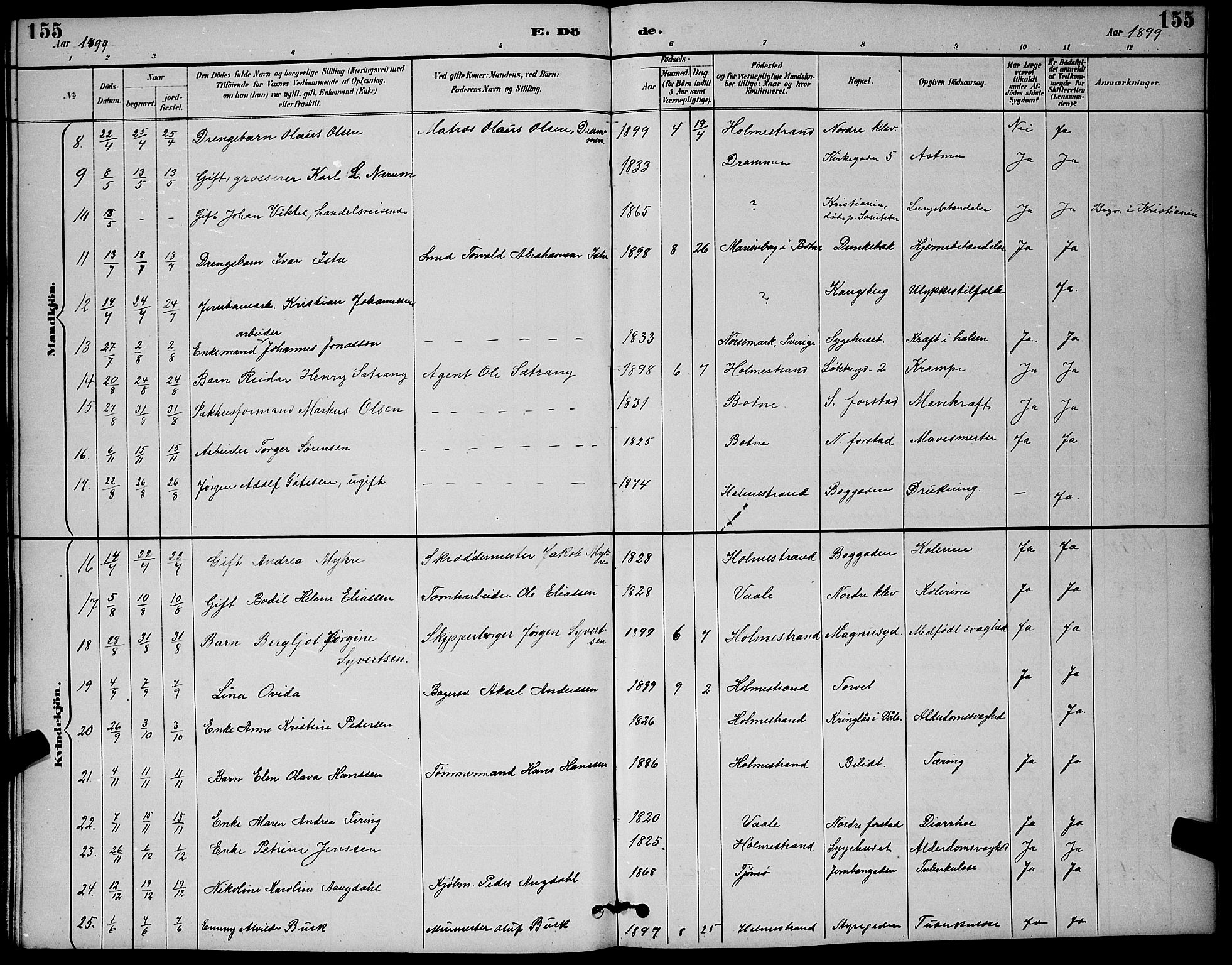 Holmestrand kirkebøker, SAKO/A-346/G/Ga/L0005: Parish register (copy) no. 5, 1889-1901, p. 155