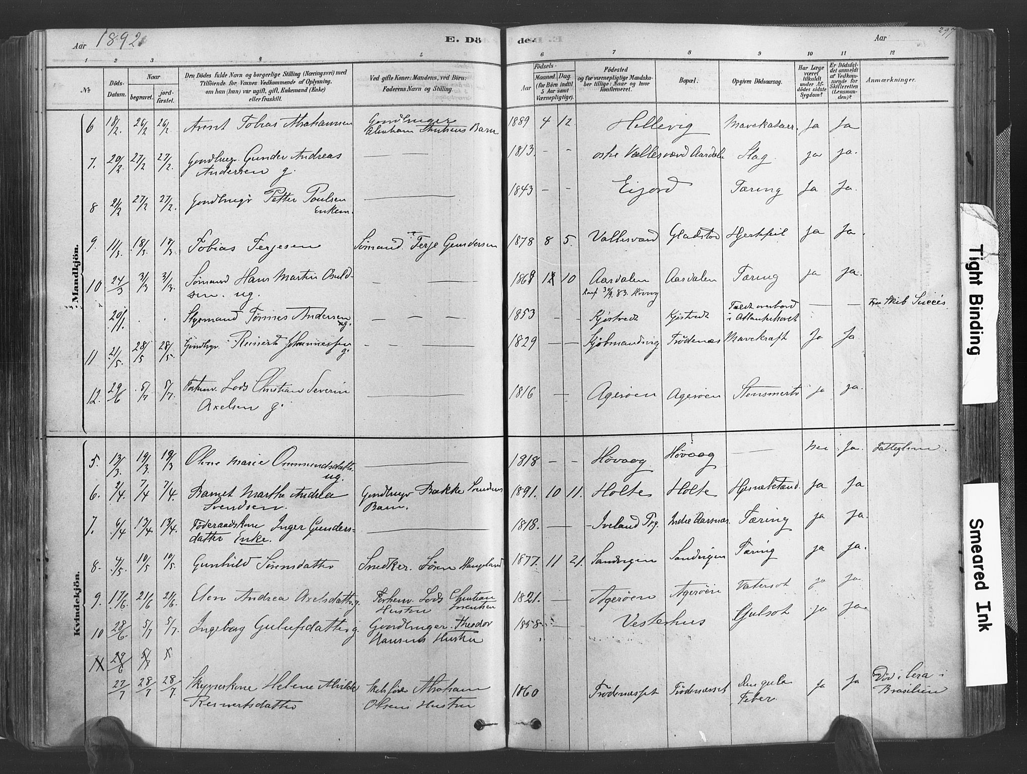 Høvåg sokneprestkontor, SAK/1111-0025/F/Fa/L0005: Parish register (official) no. A 5, 1878-1893, p. 297