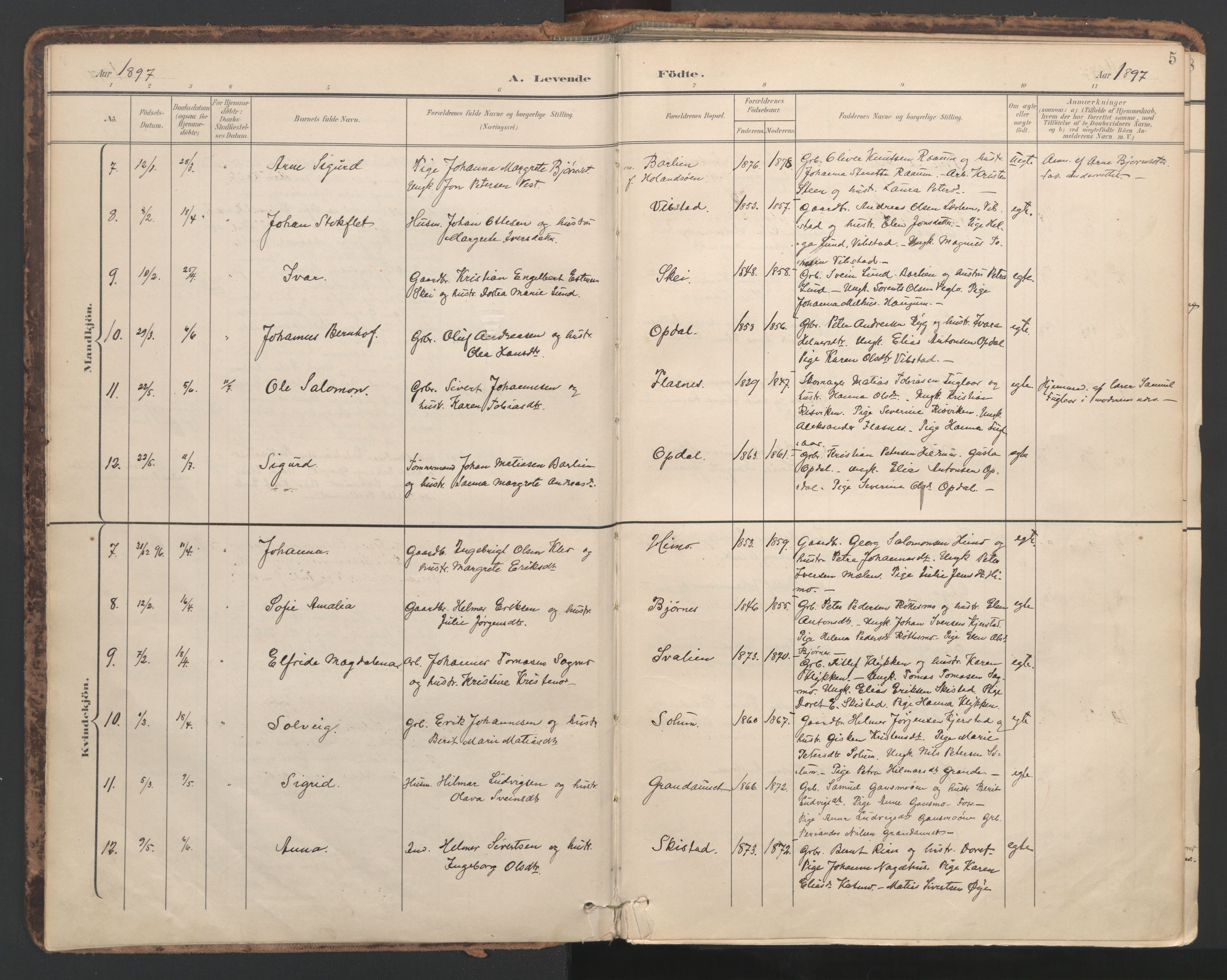 Ministerialprotokoller, klokkerbøker og fødselsregistre - Nord-Trøndelag, AV/SAT-A-1458/764/L0556: Parish register (official) no. 764A11, 1897-1924, p. 5