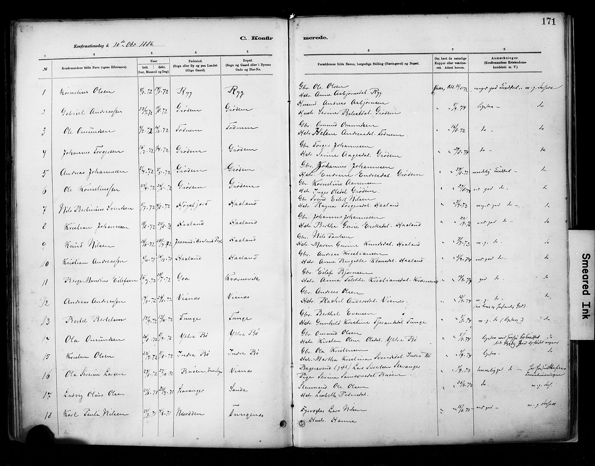 Hetland sokneprestkontor, SAST/A-101826/30/30BA/L0009: Parish register (official) no. A 9, 1882-1918, p. 171
