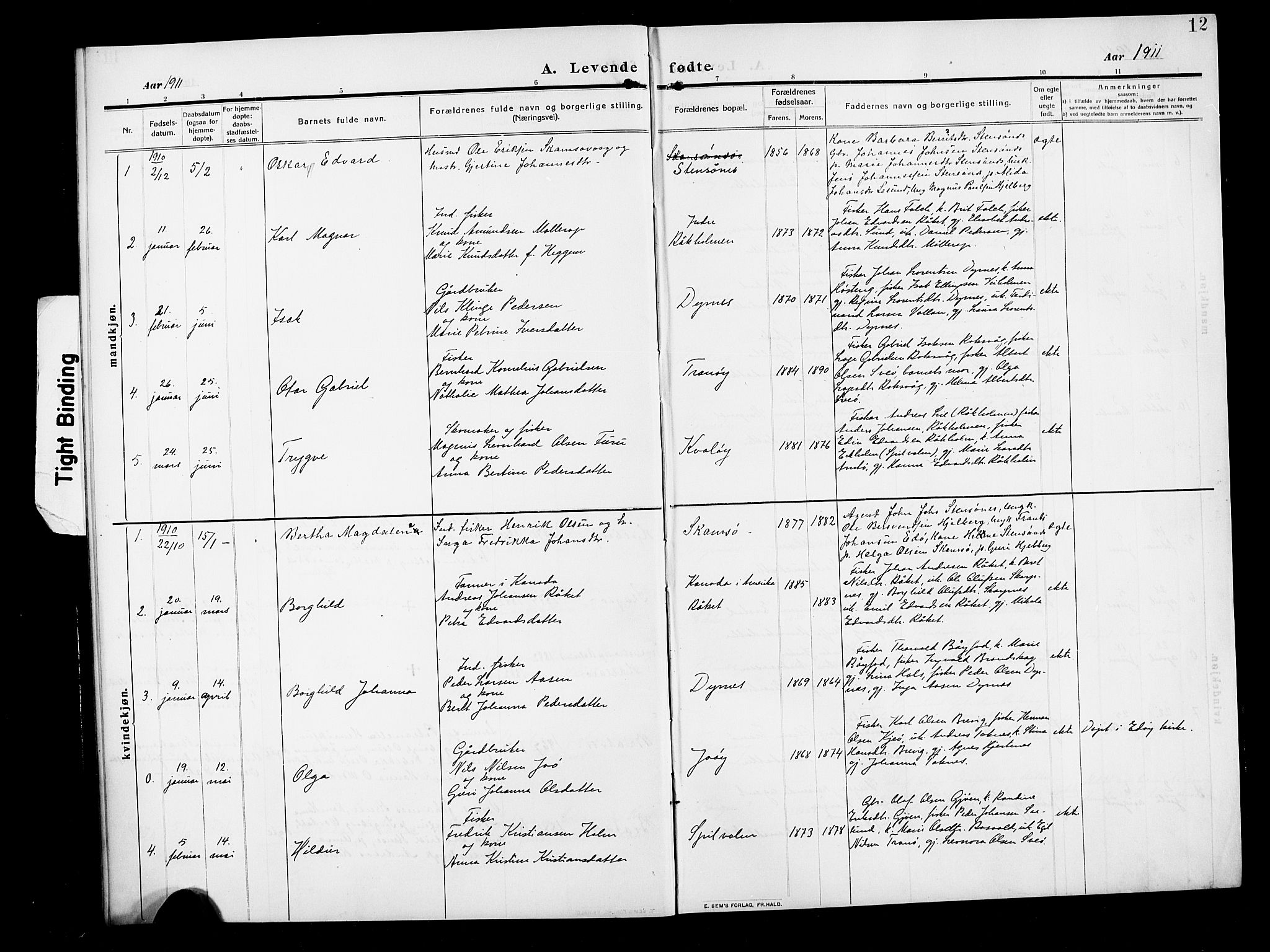 Ministerialprotokoller, klokkerbøker og fødselsregistre - Møre og Romsdal, AV/SAT-A-1454/582/L0949: Parish register (copy) no. 582C01, 1909-1925, p. 12