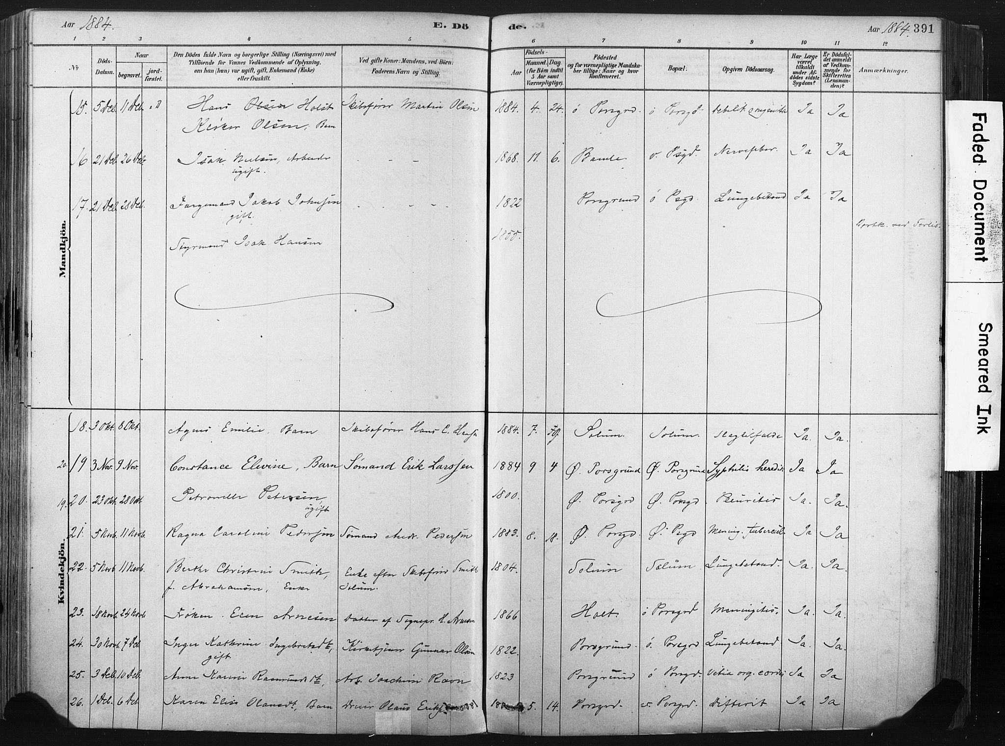 Porsgrunn kirkebøker , AV/SAKO-A-104/F/Fa/L0008: Parish register (official) no. 8, 1878-1895, p. 391