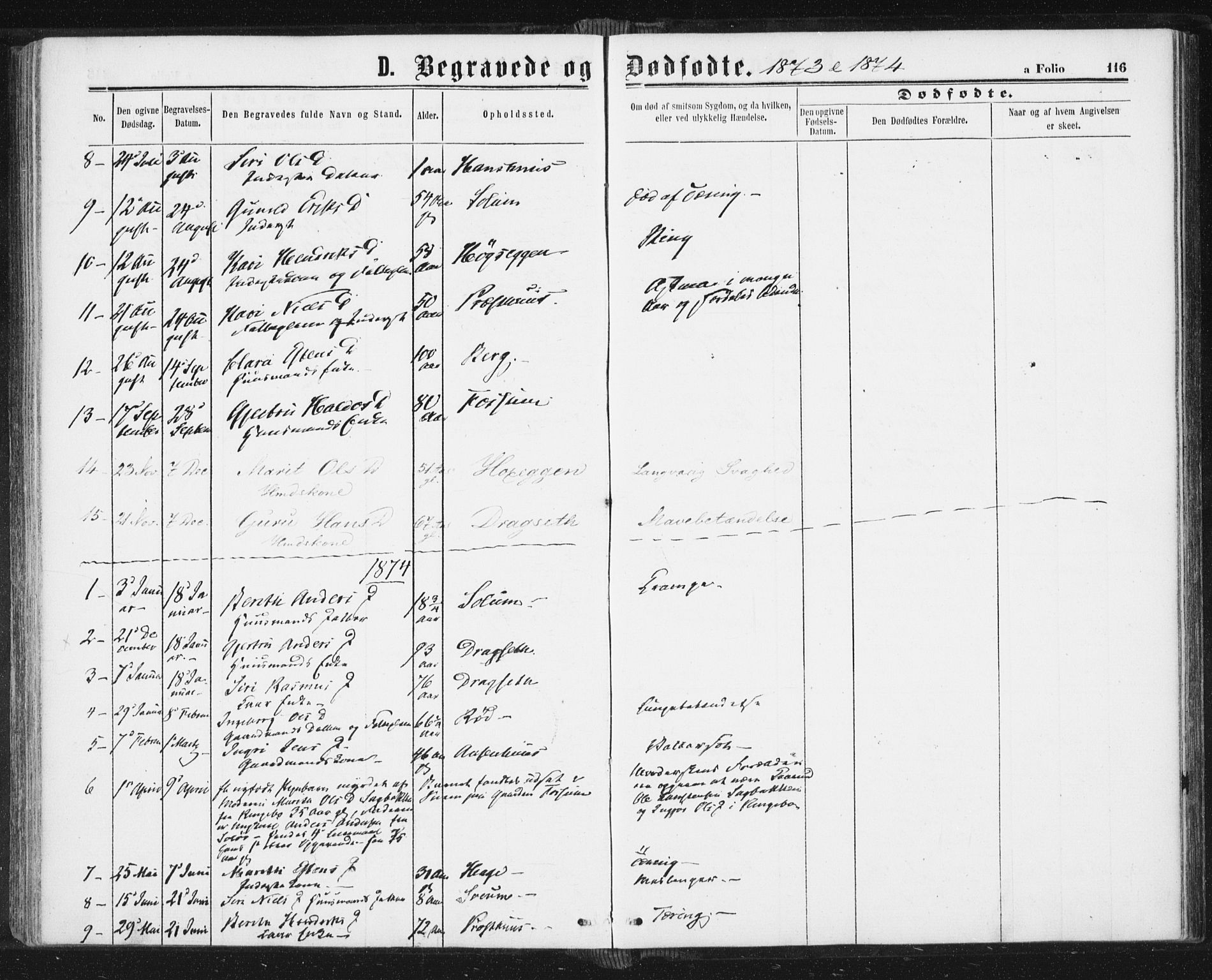 Ministerialprotokoller, klokkerbøker og fødselsregistre - Sør-Trøndelag, SAT/A-1456/689/L1039: Parish register (official) no. 689A04, 1865-1878, p. 116