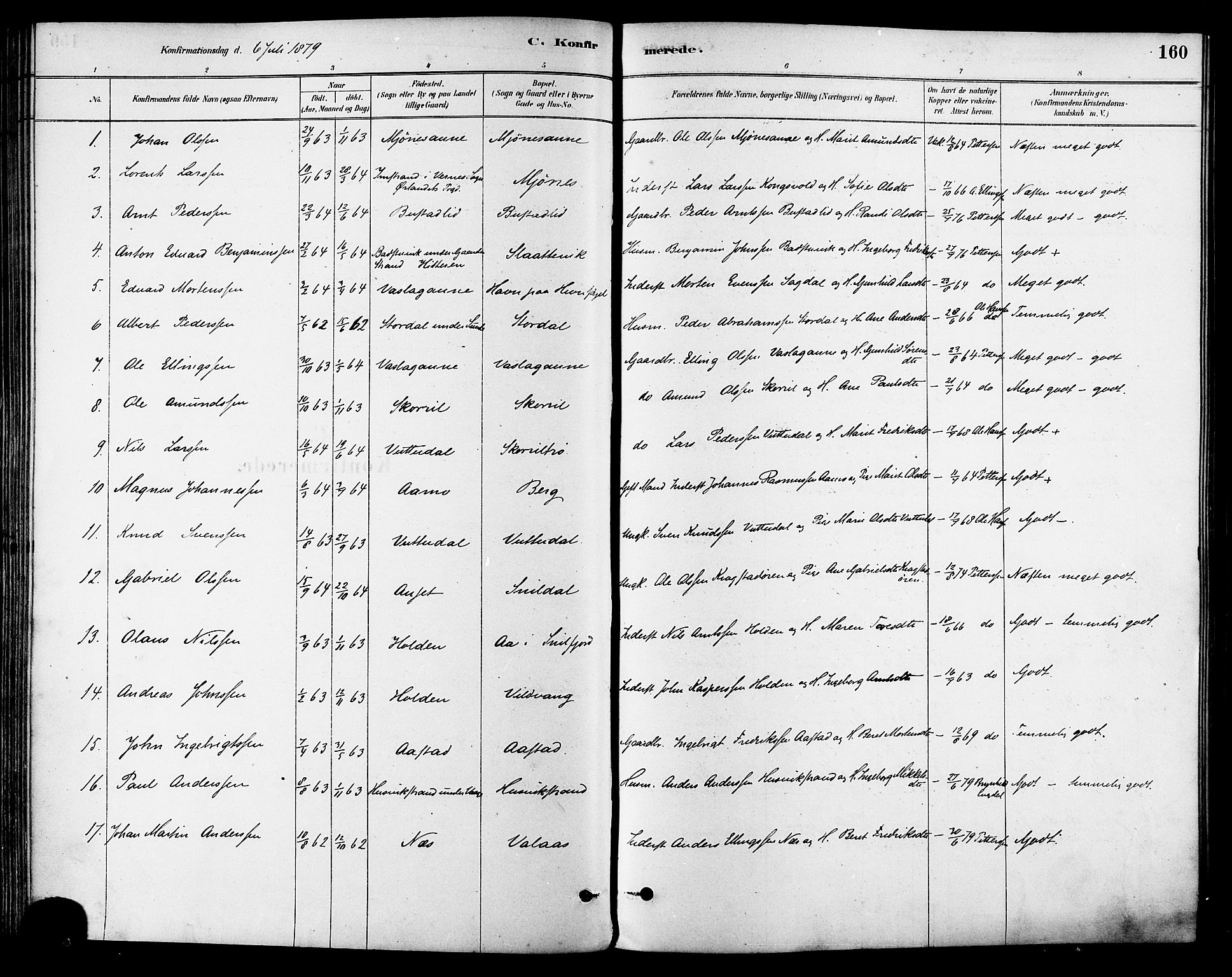 Ministerialprotokoller, klokkerbøker og fødselsregistre - Sør-Trøndelag, AV/SAT-A-1456/630/L0496: Parish register (official) no. 630A09, 1879-1895, p. 160