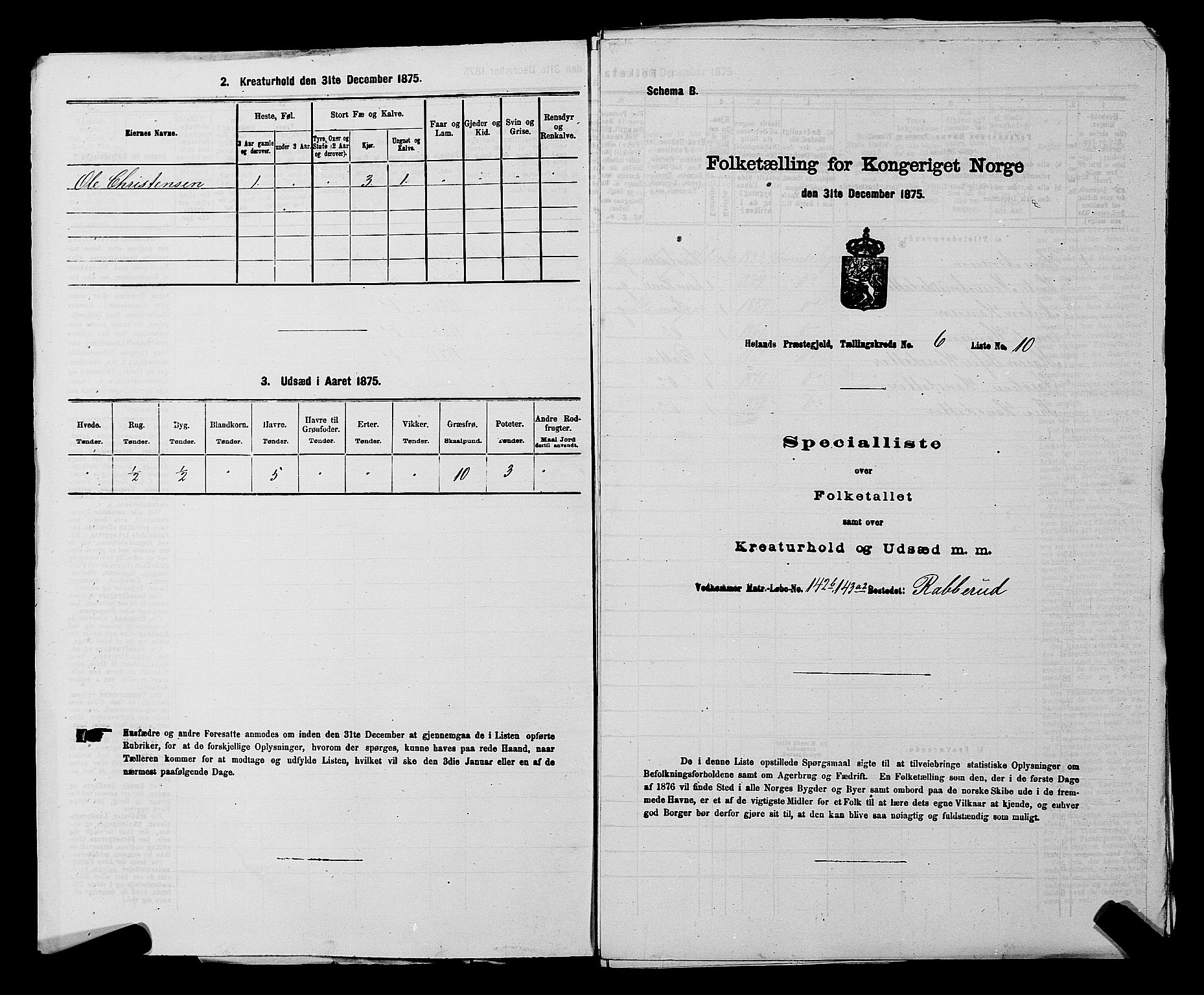 RA, 1875 census for 0221P Høland, 1875, p. 1078