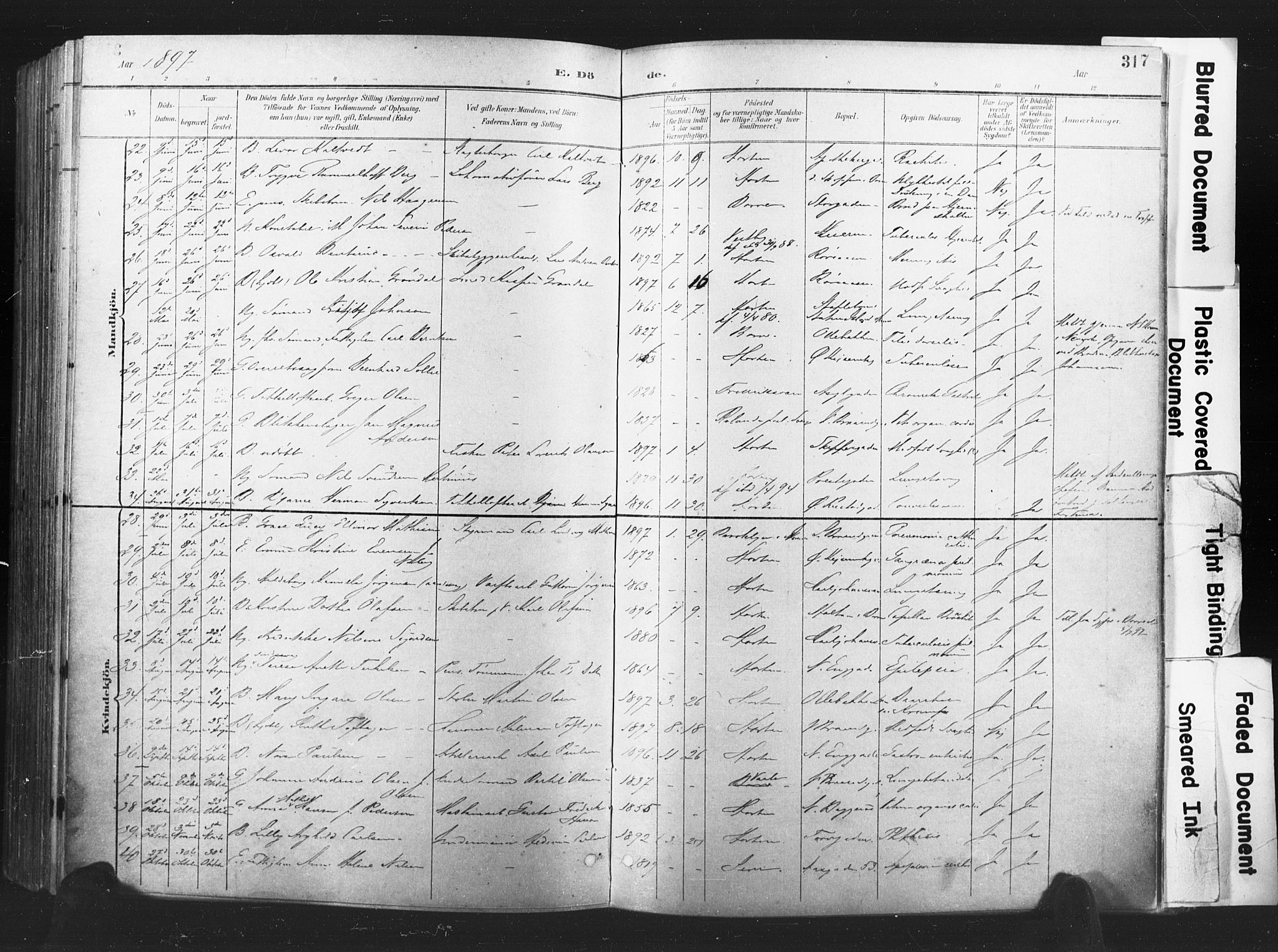 Horten kirkebøker, AV/SAKO-A-348/F/Fa/L0005: Parish register (official) no. 5, 1896-1904, p. 317