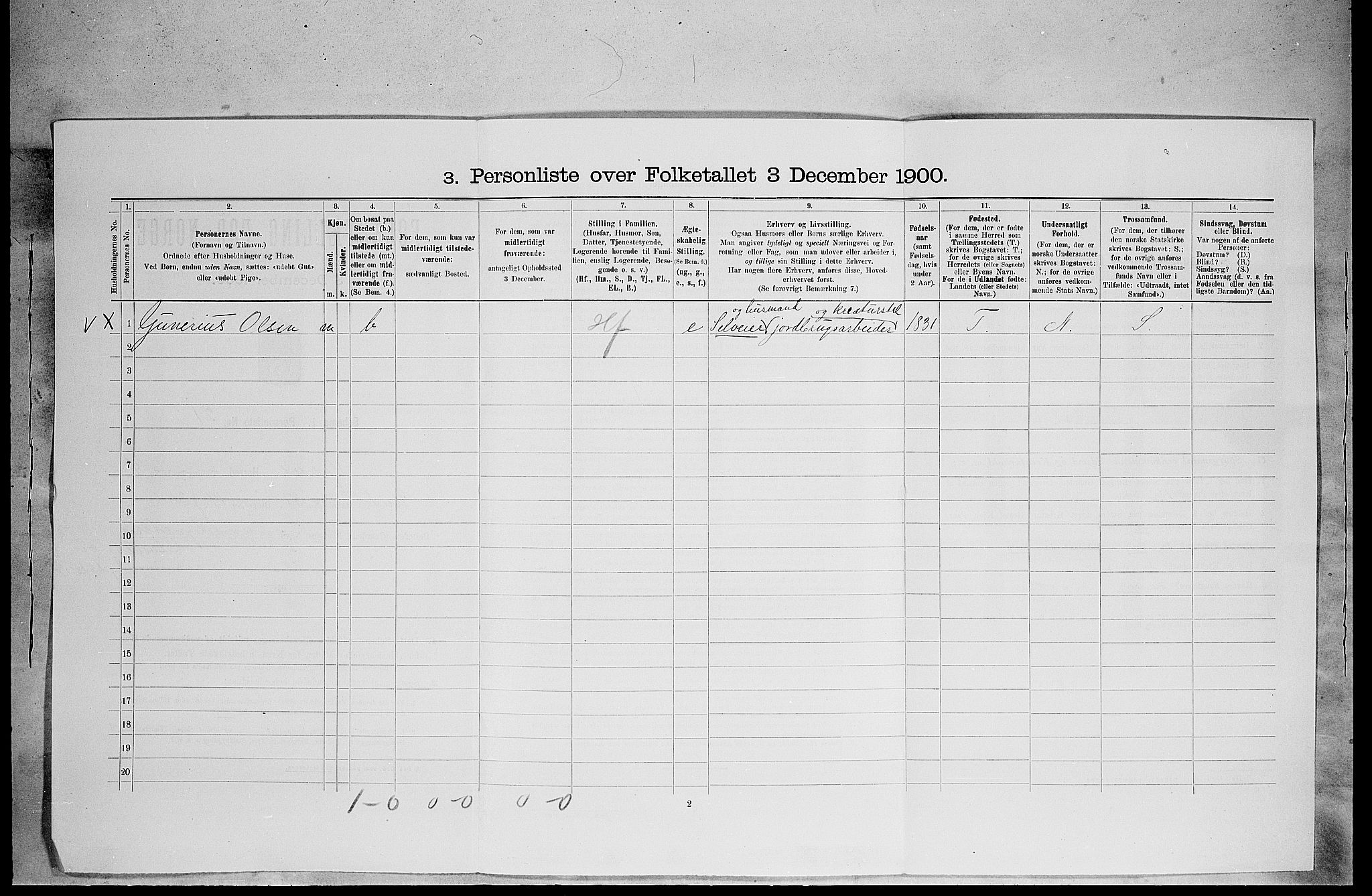 SAH, 1900 census for Grue, 1900, p. 100