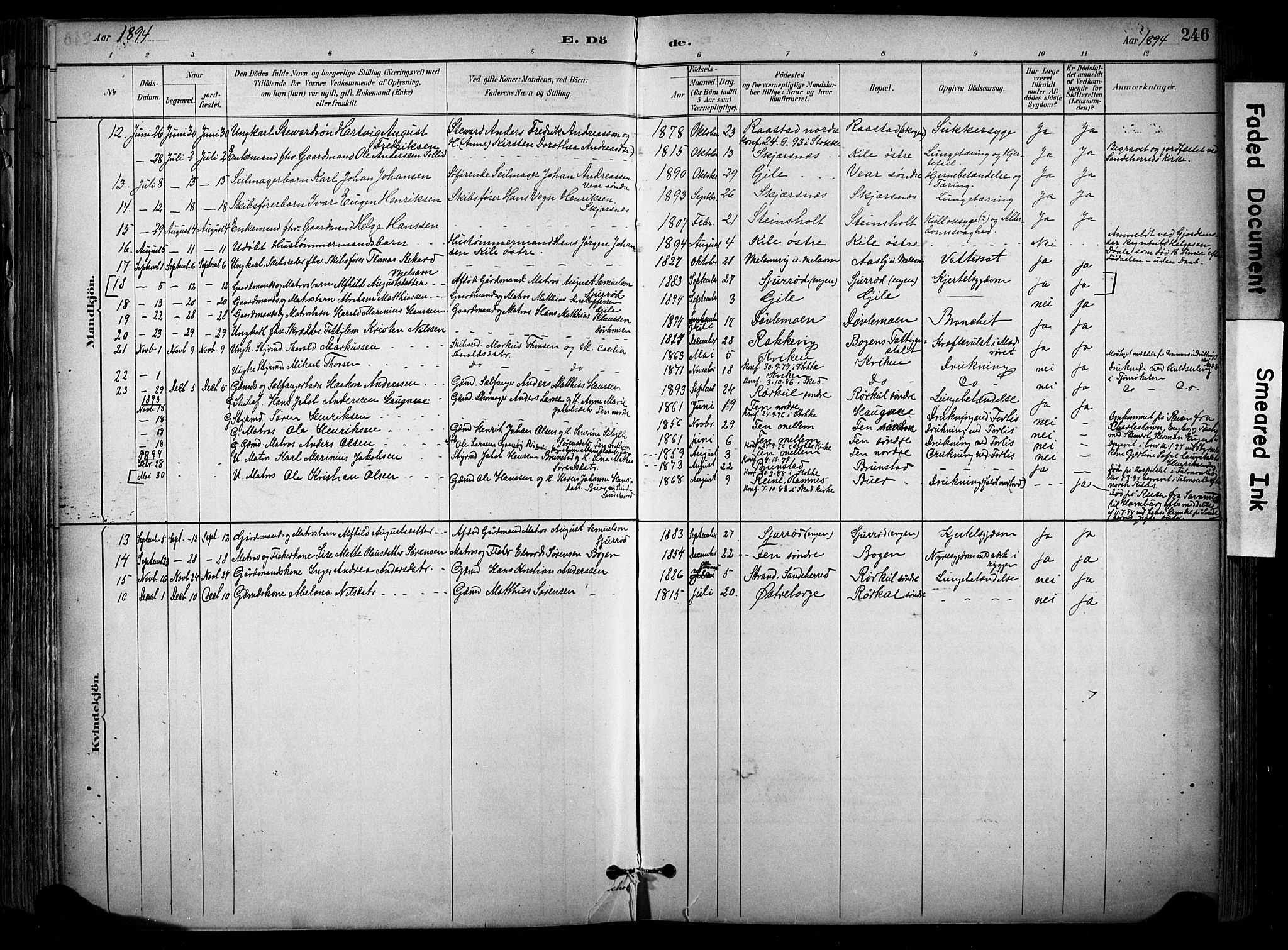Stokke kirkebøker, SAKO/A-320/F/Fa/L0010: Parish register (official) no. I 10, 1884-1903, p. 246