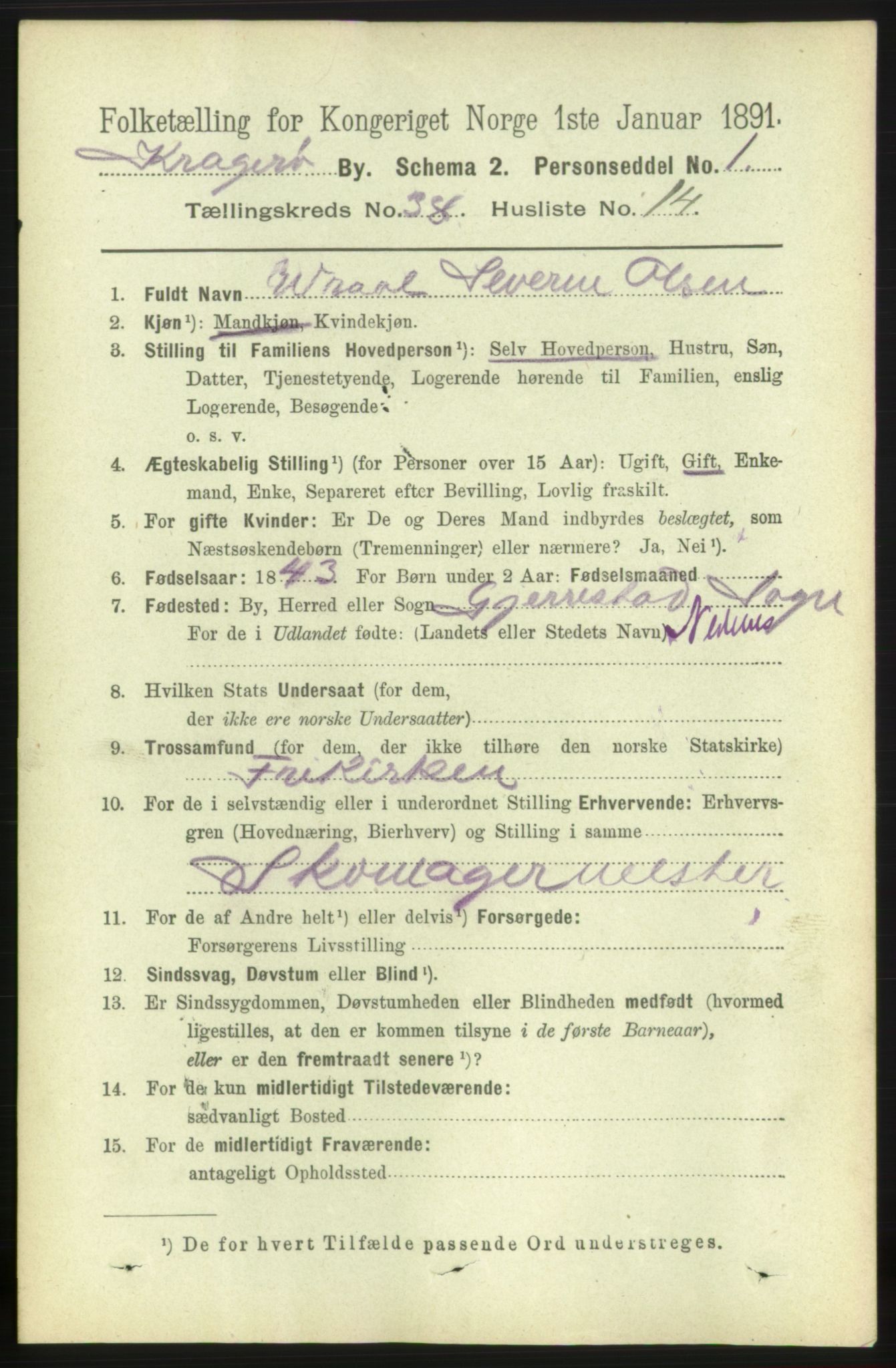 RA, 1891 census for 0801 Kragerø, 1891, p. 7224