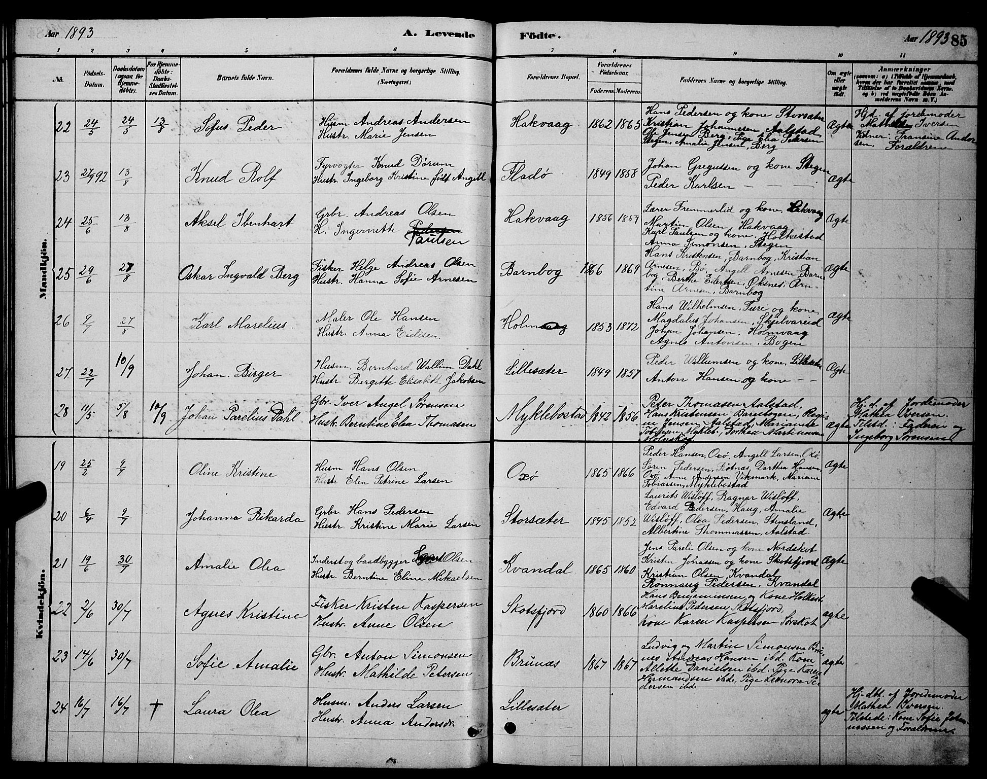 Ministerialprotokoller, klokkerbøker og fødselsregistre - Nordland, AV/SAT-A-1459/855/L0816: Parish register (copy) no. 855C05, 1879-1894, p. 85