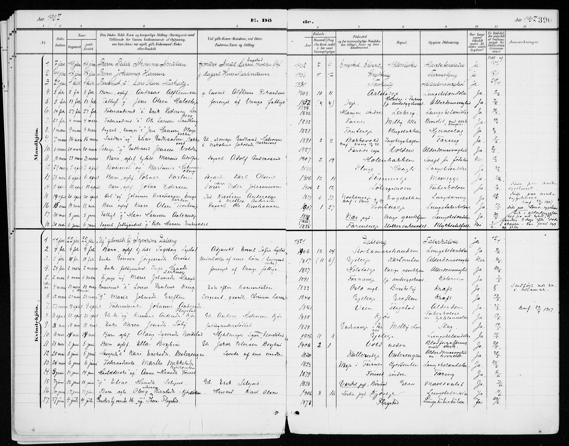 Vang prestekontor, Hedmark, SAH/PREST-008/H/Ha/Haa/L0021: Parish register (official) no. 21, 1902-1917, p. 390
