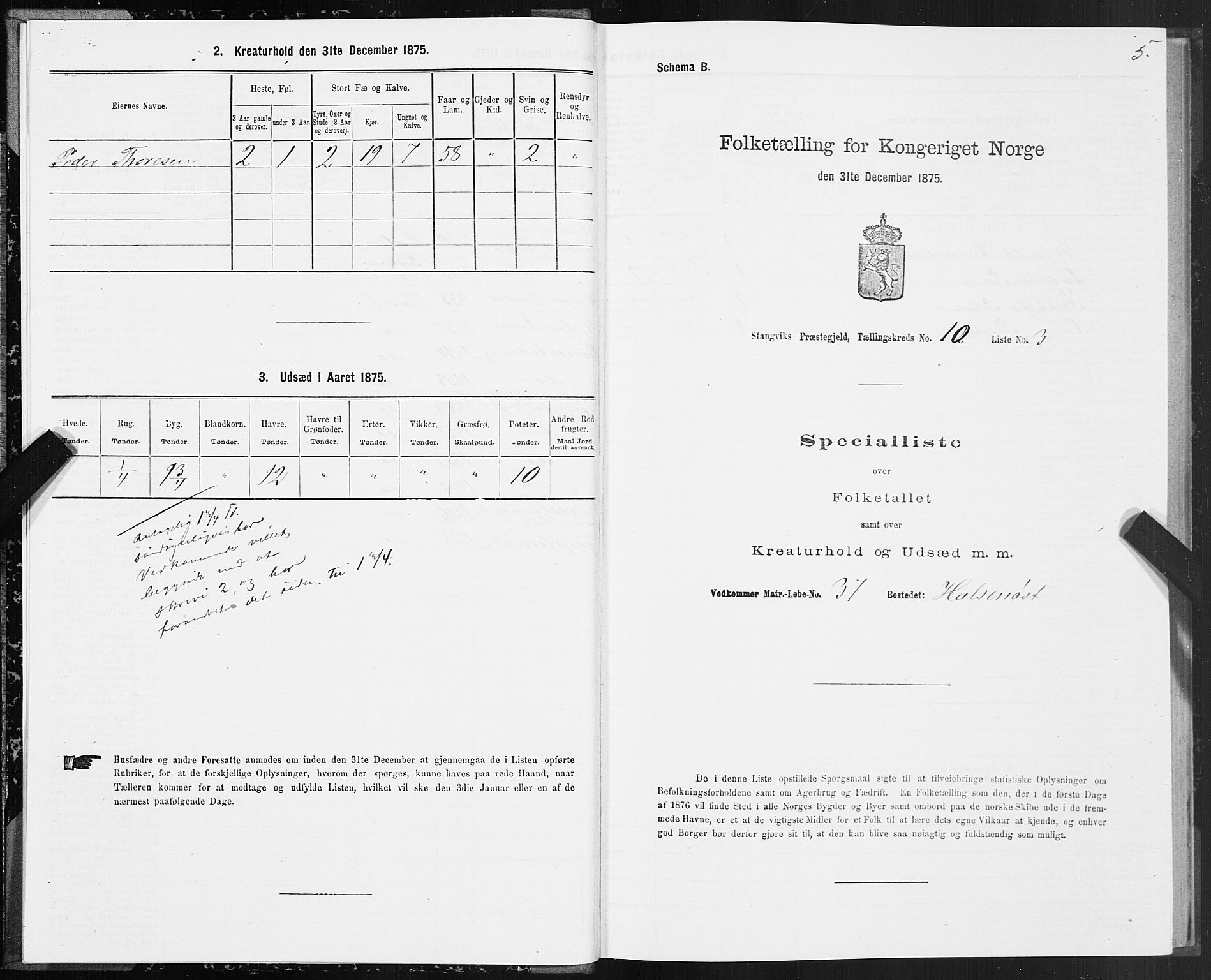 SAT, 1875 census for 1564P Stangvik, 1875, p. 5005