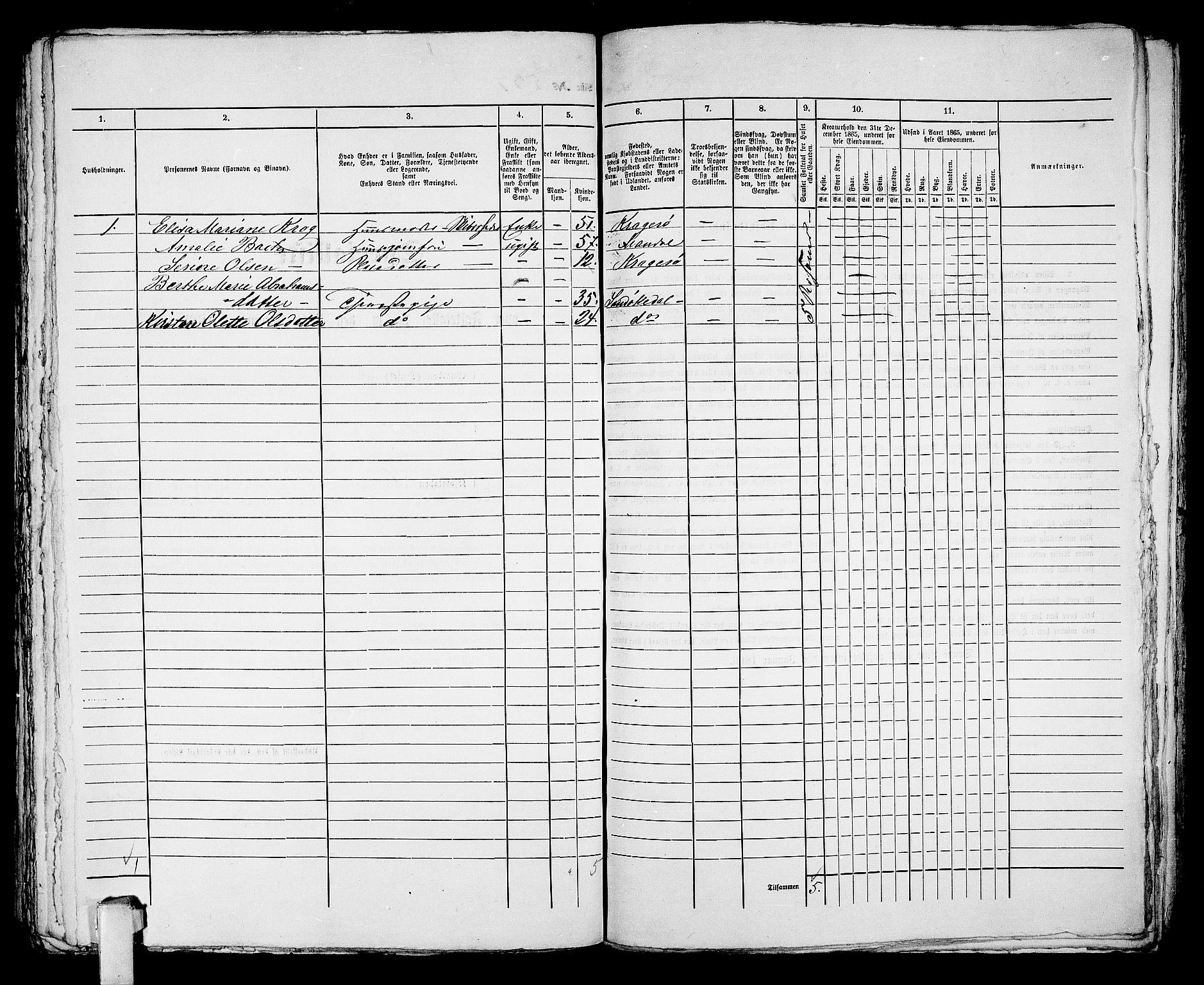 RA, 1865 census for Kragerø/Kragerø, 1865, p. 1091