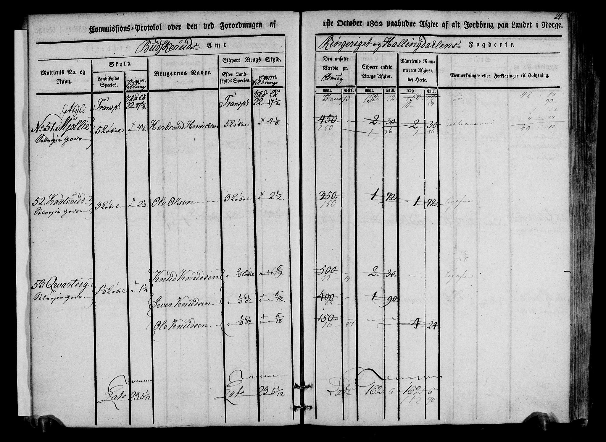 Rentekammeret inntil 1814, Realistisk ordnet avdeling, AV/RA-EA-4070/N/Ne/Nea/L0047: Ringerike og Hallingdal fogderi. Kommisjonsprotokoll for Nes prestegjeld, 1803, p. 22