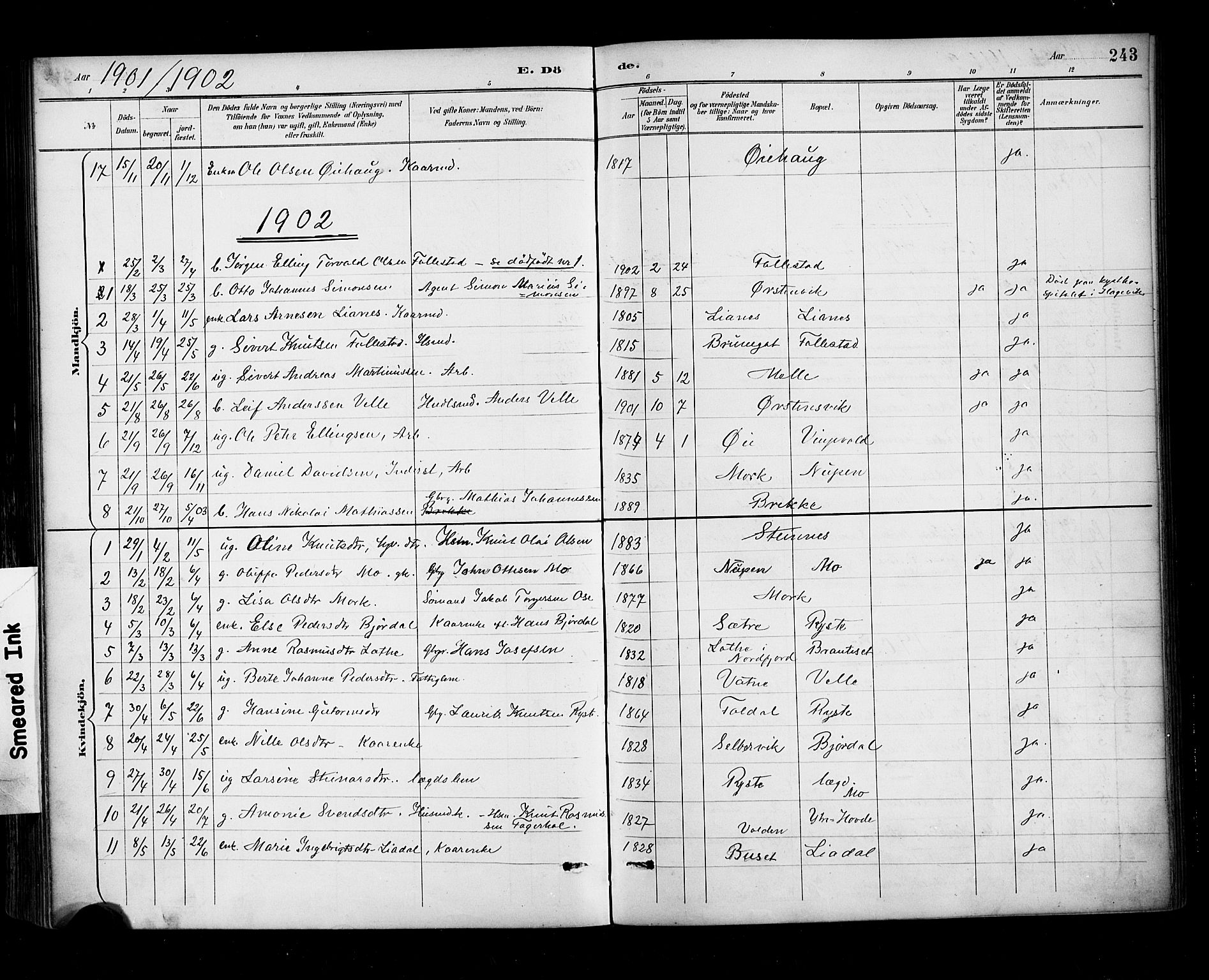 Ministerialprotokoller, klokkerbøker og fødselsregistre - Møre og Romsdal, AV/SAT-A-1454/513/L0177: Parish register (official) no. 513A04, 1890-1906, p. 243