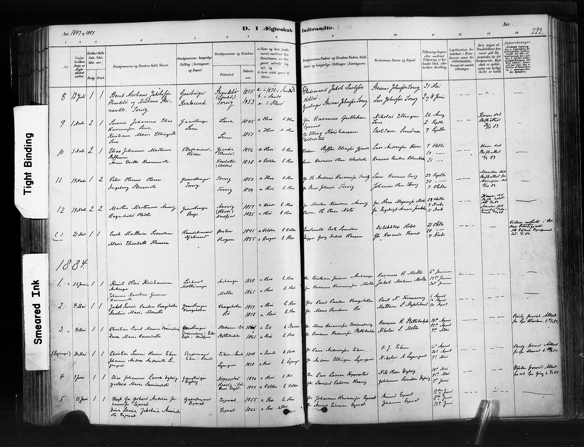 Ministerialprotokoller, klokkerbøker og fødselsregistre - Møre og Romsdal, SAT/A-1454/507/L0073: Parish register (official) no. 507A08, 1878-1904, p. 222