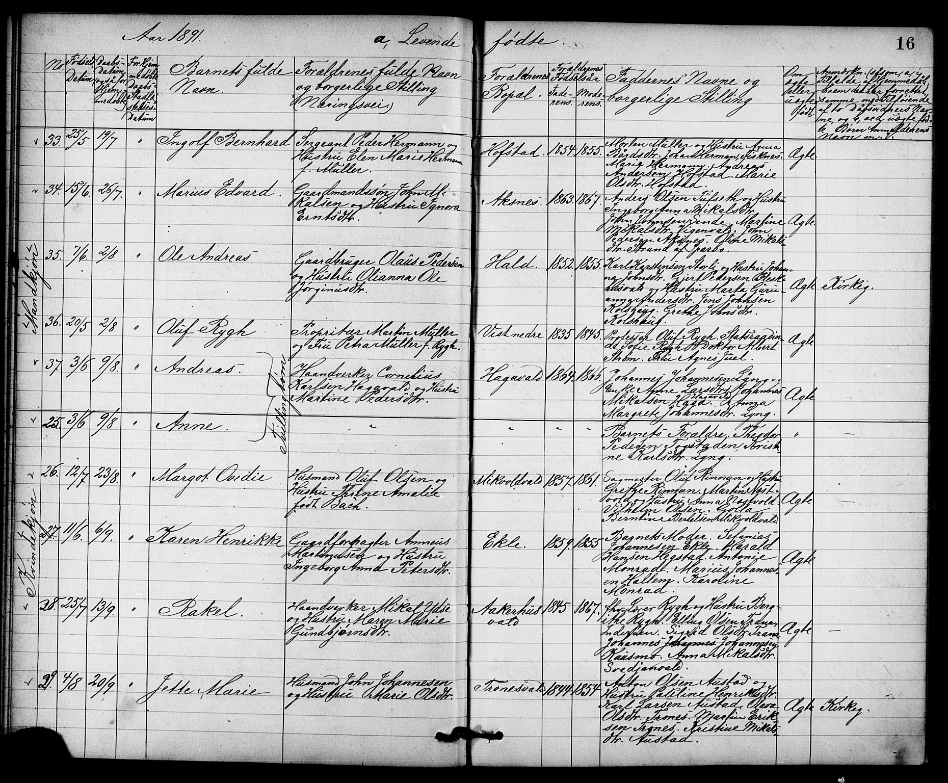 Ministerialprotokoller, klokkerbøker og fødselsregistre - Nord-Trøndelag, AV/SAT-A-1458/723/L0257: Parish register (copy) no. 723C05, 1890-1907, p. 16