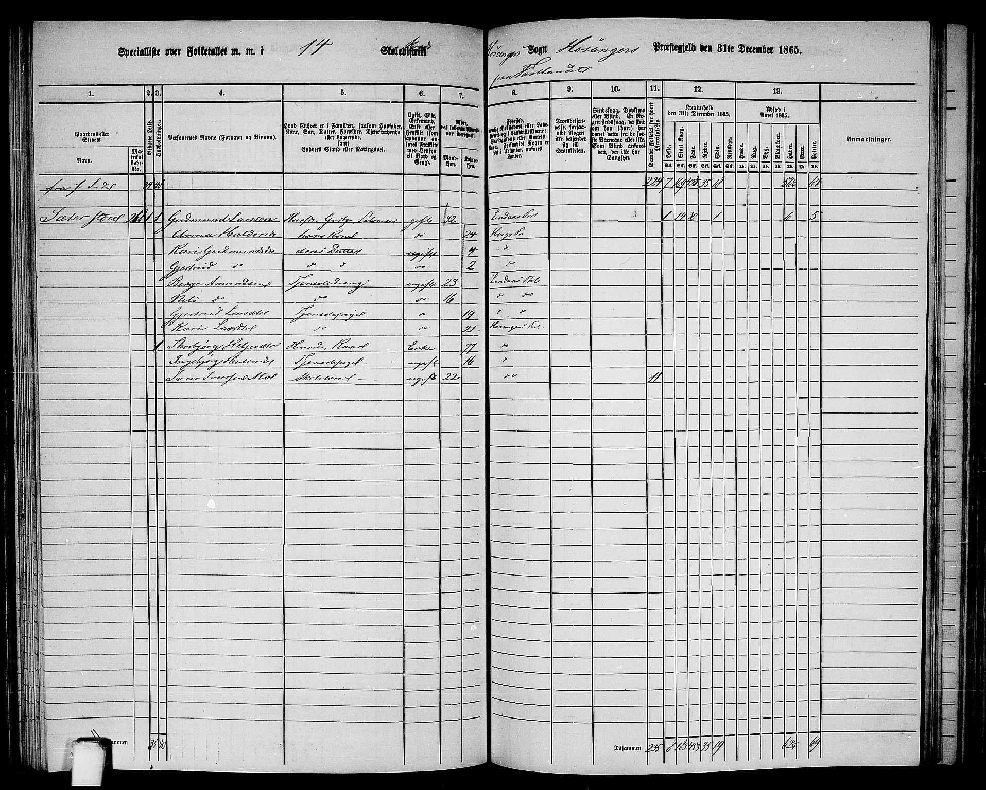 RA, 1865 census for Hosanger, 1865, p. 107