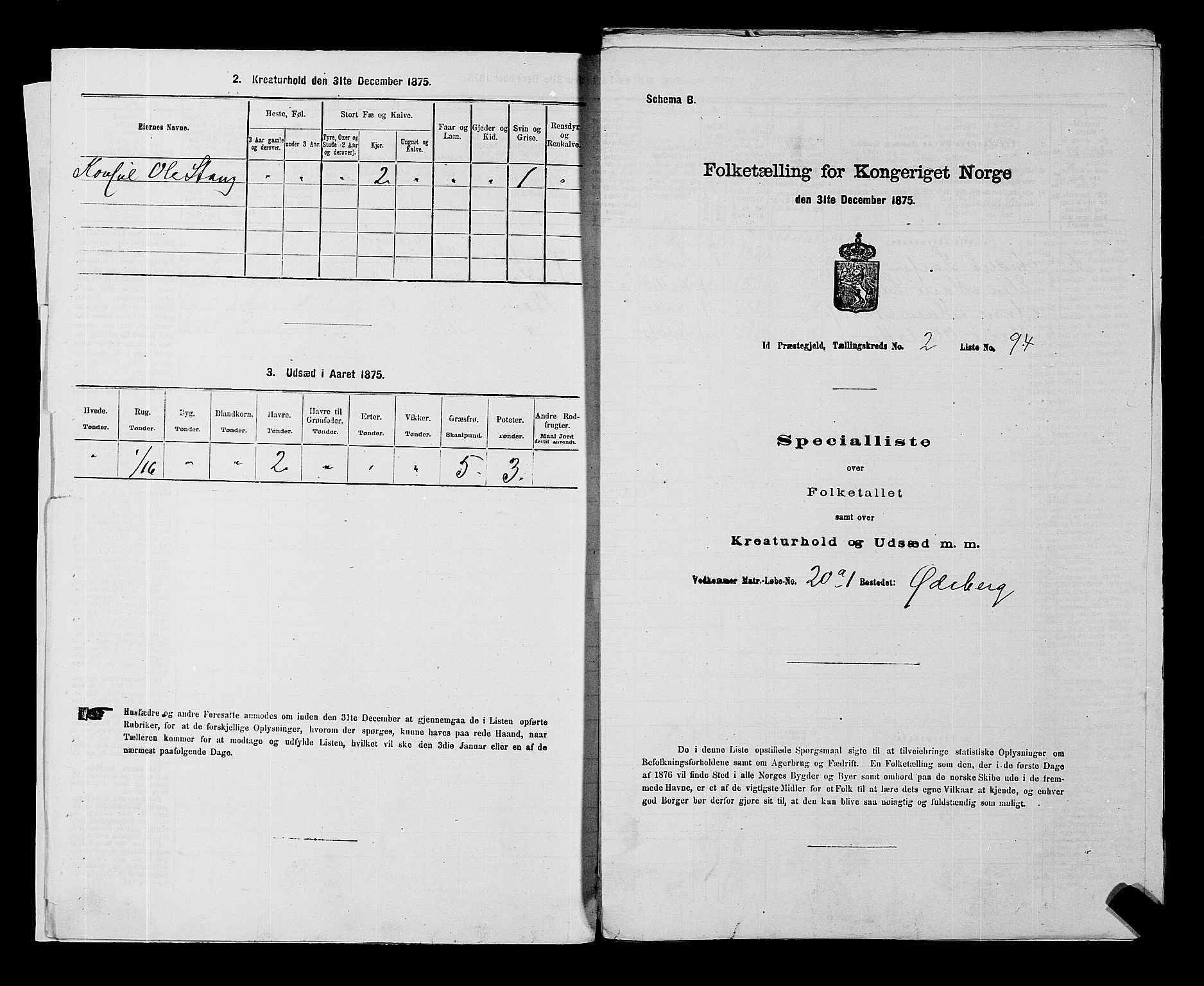 RA, 1875 census for 0117P Idd, 1875, p. 161