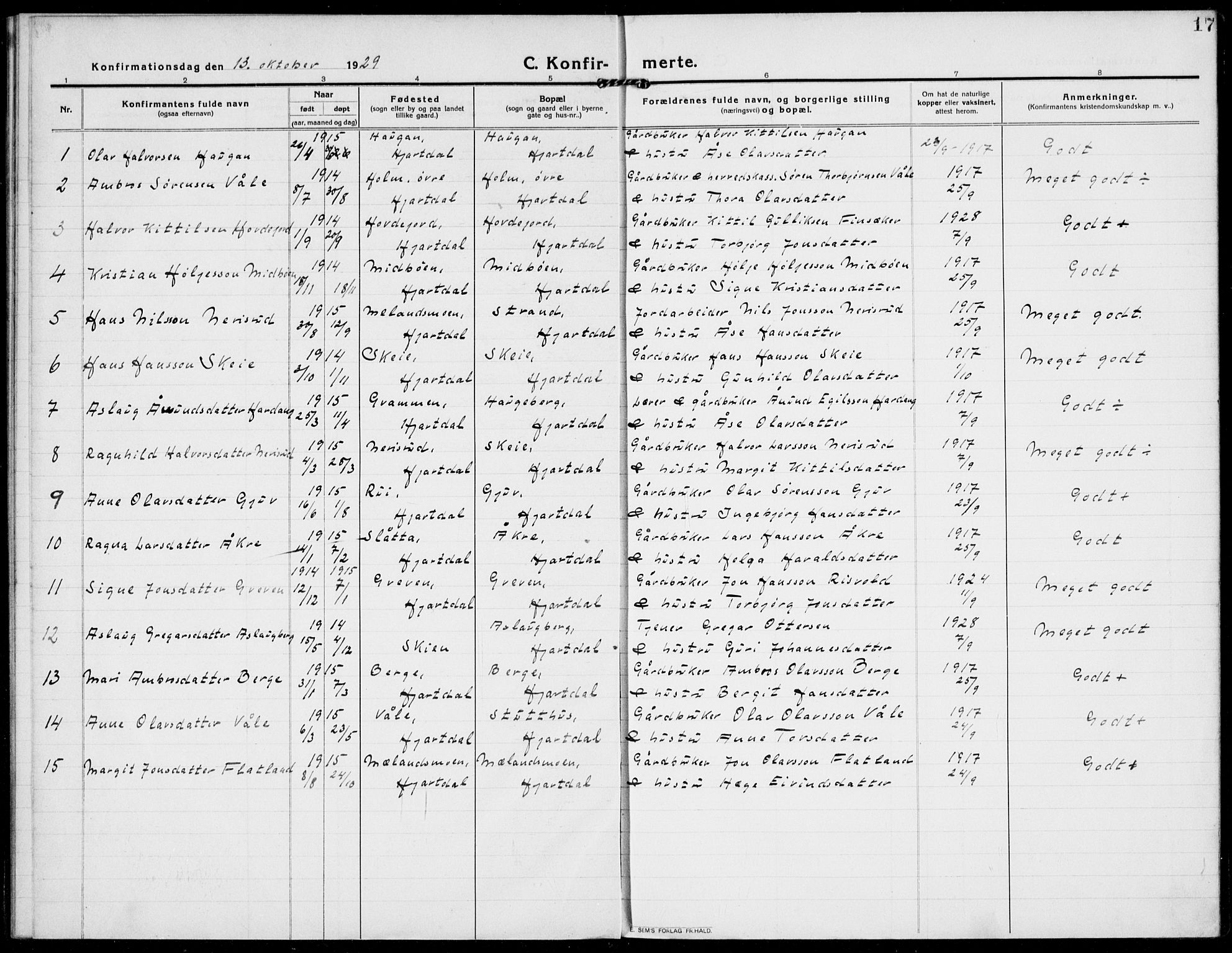 Hjartdal kirkebøker, AV/SAKO-A-270/F/Fa/L0011: Parish register (official) no. I 11, 1916-1929, p. 17