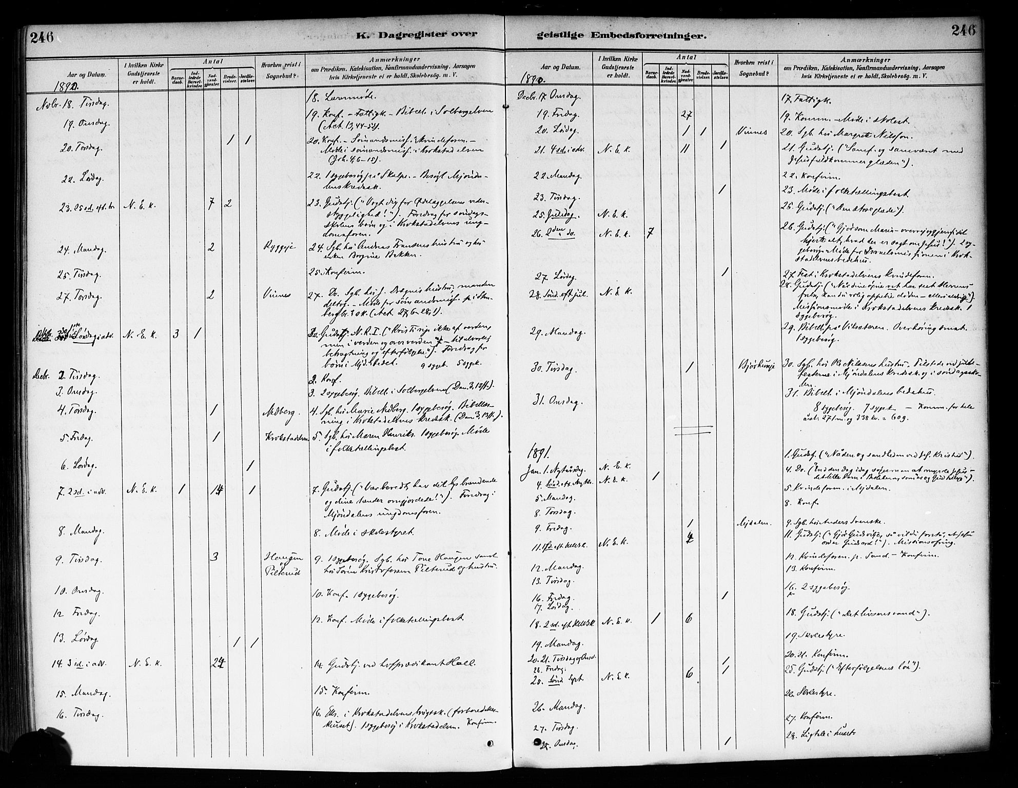 Nedre Eiker kirkebøker, AV/SAKO-A-612/F/Fa/L0003: Parish register (official) no. 3, 1885-1892, p. 246